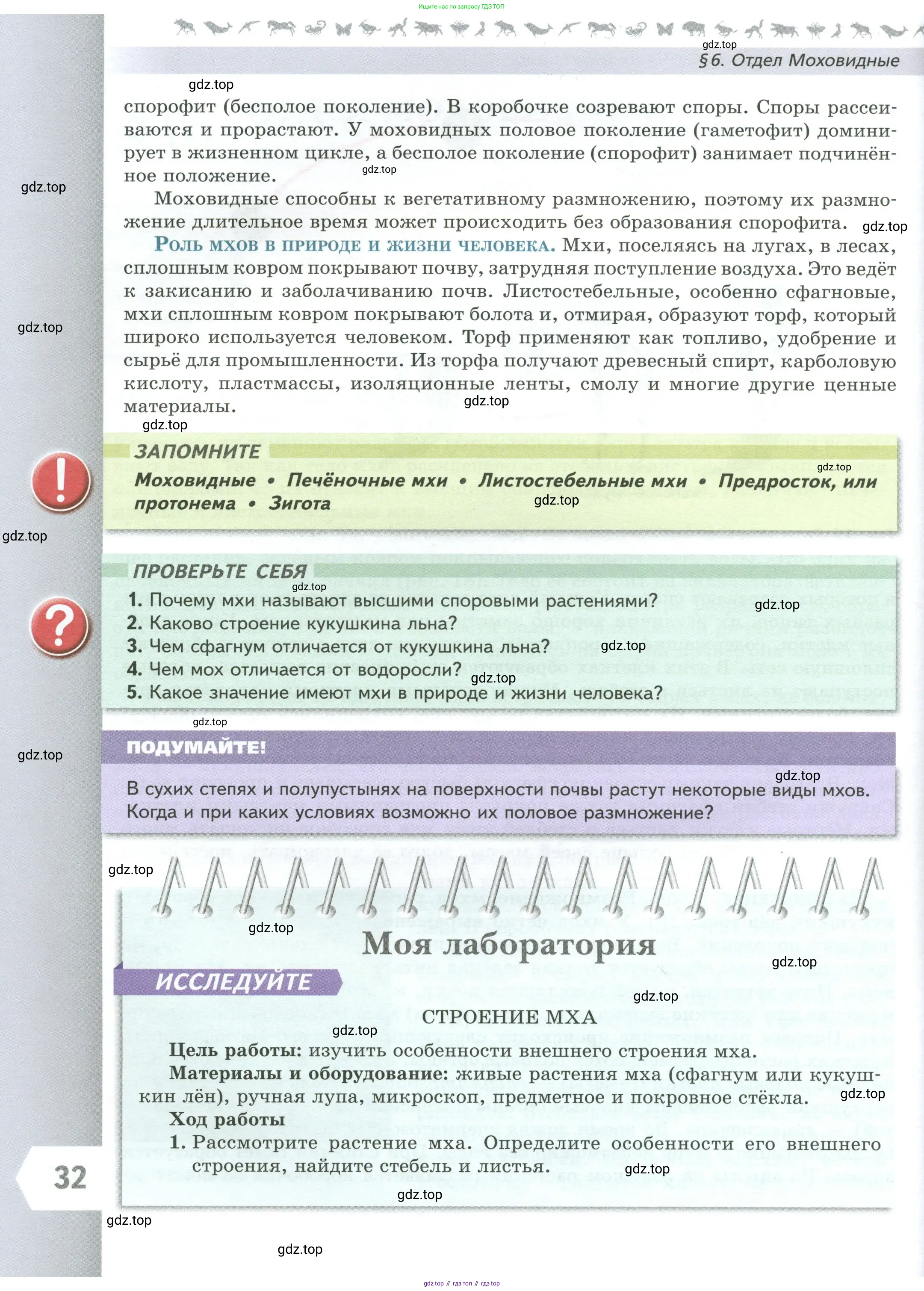 Биология, 7 класс Учебник, авторы: Пасечник Владимир Васильевич, Суматохин Сергей Витальевич, Гапонюк Зоя Георгиевна, Швецов Глеб Геннадьевич, издательство Просвещение, Москва, 2023, бирюзового цвета, страница 32