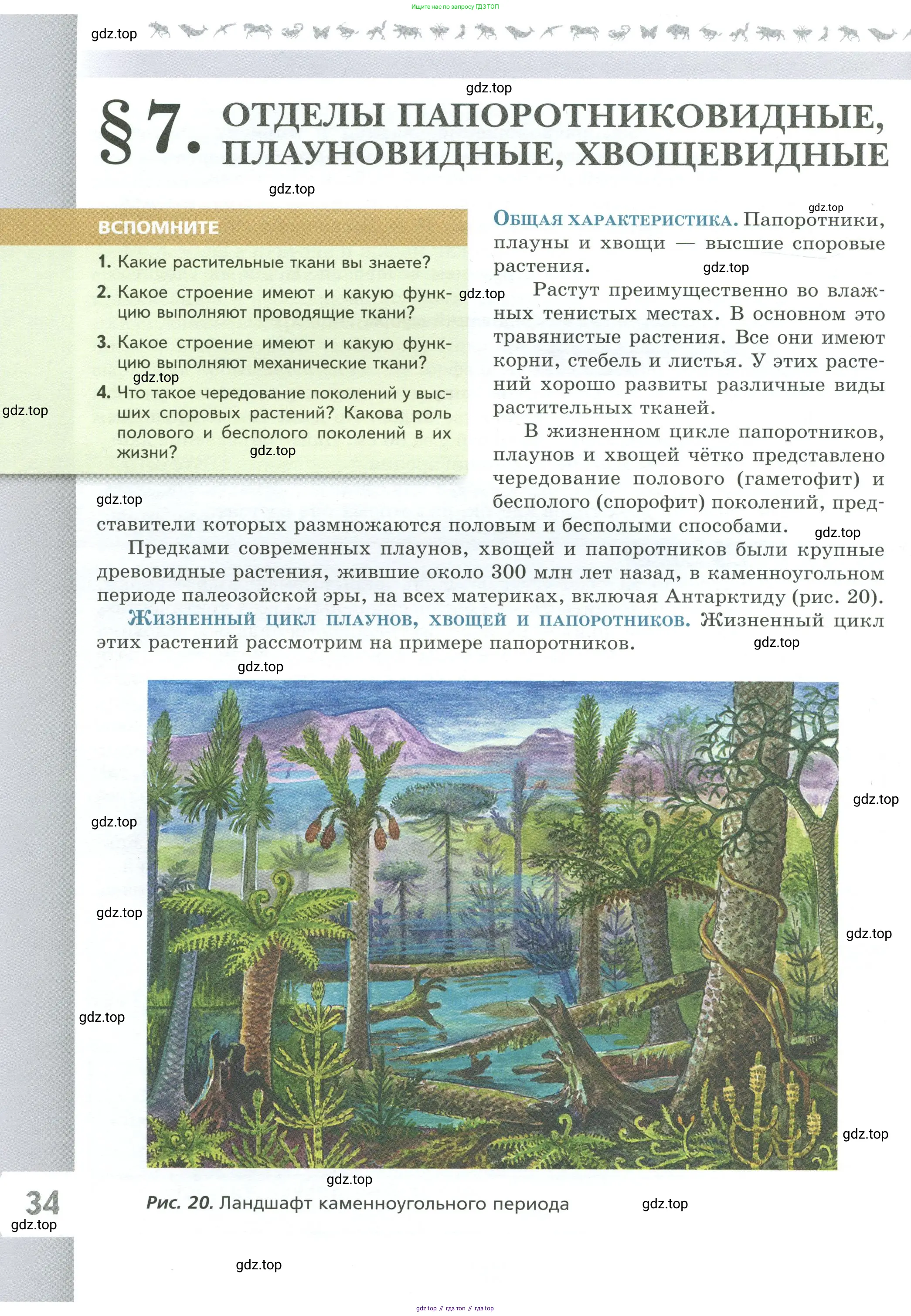 Биология, 7 класс Учебник, авторы: Пасечник Владимир Васильевич, Суматохин Сергей Витальевич, Гапонюк Зоя Георгиевна, Швецов Глеб Геннадьевич, издательство Просвещение, Москва, 2023, бирюзового цвета, страница 34