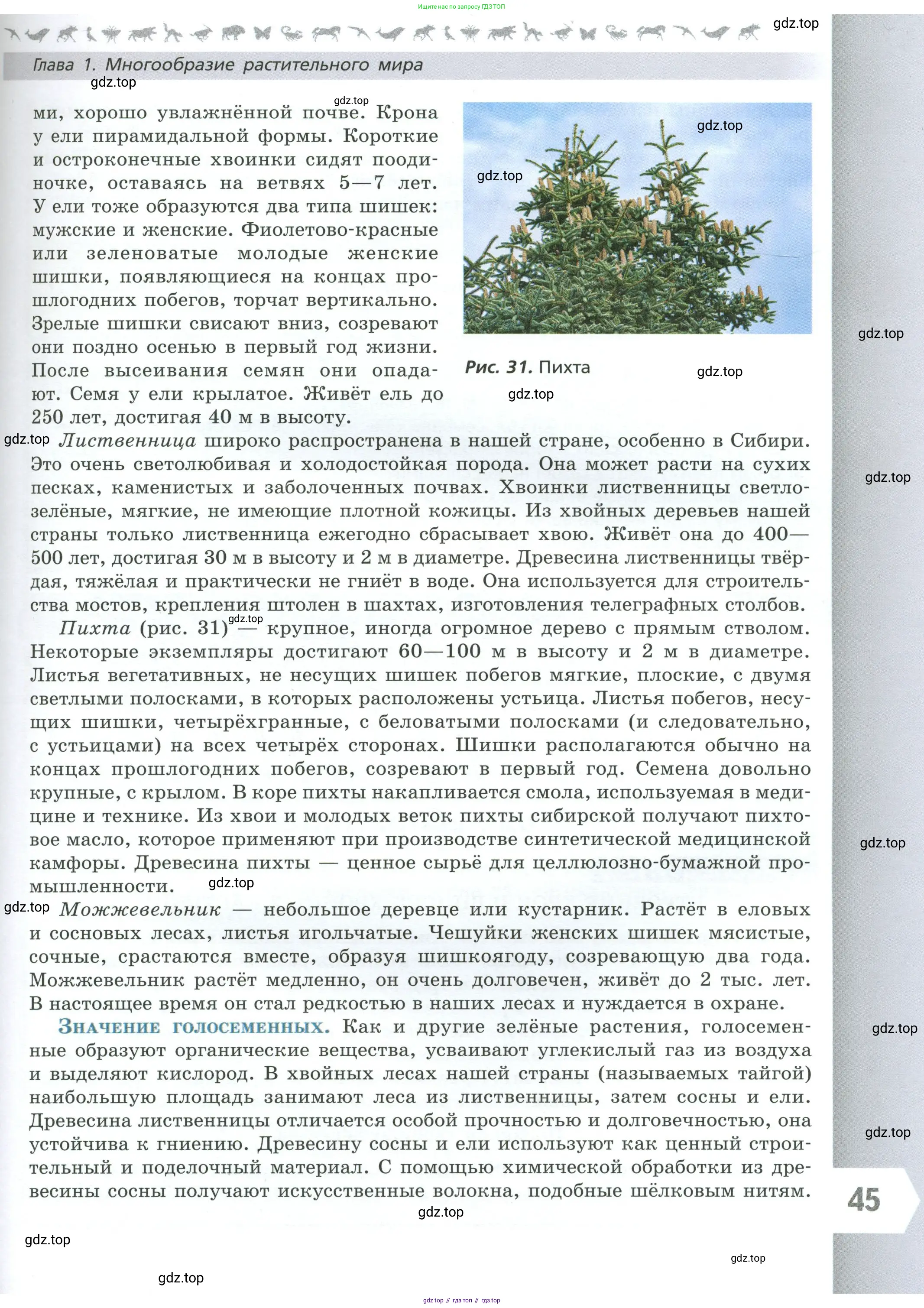 Биология, 7 класс Учебник, авторы: Пасечник Владимир Васильевич, Суматохин Сергей Витальевич, Гапонюк Зоя Георгиевна, Швецов Глеб Геннадьевич, издательство Просвещение, Москва, 2023, бирюзового цвета, страница 45
