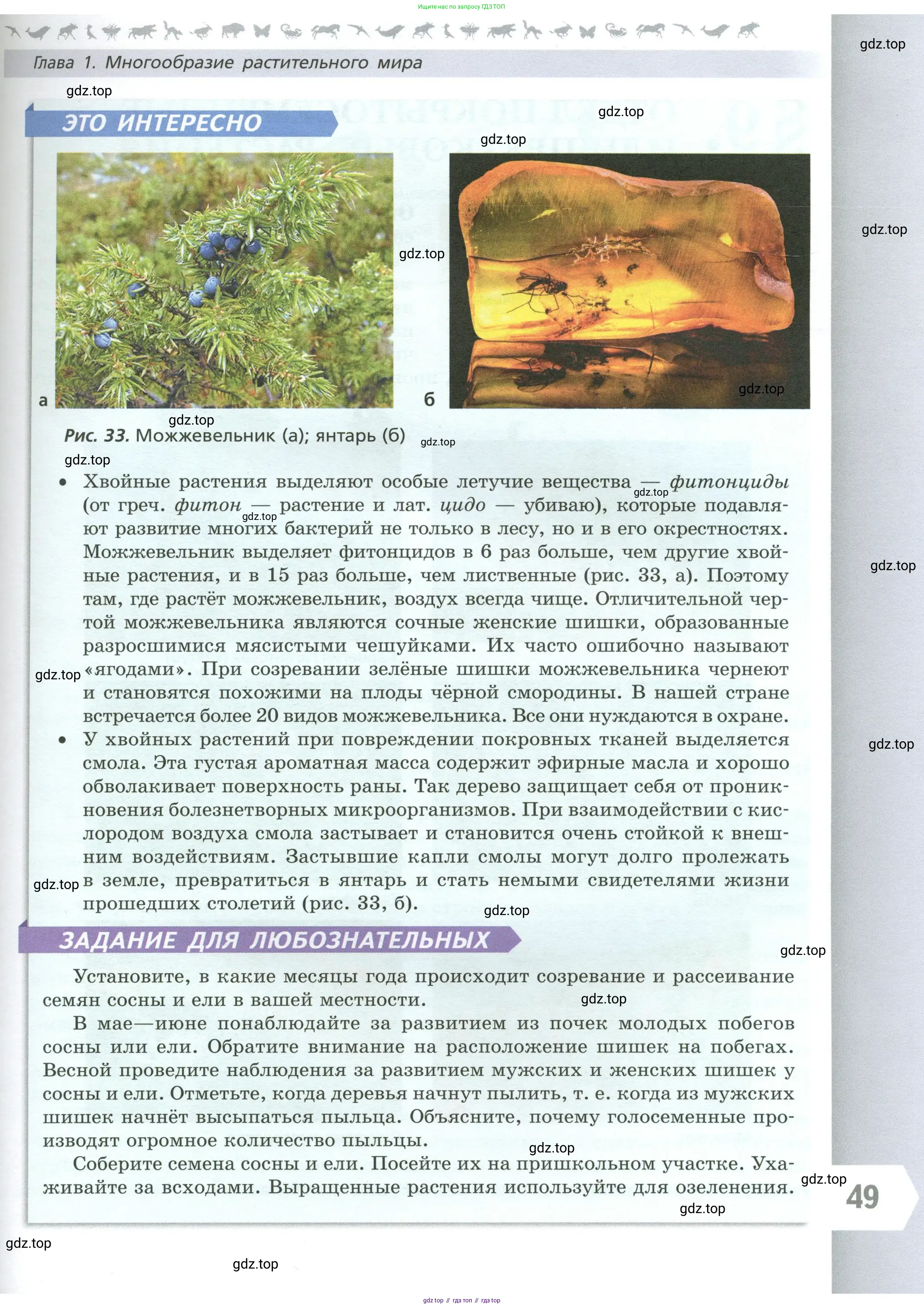 Биология, 7 класс Учебник, авторы: Пасечник Владимир Васильевич, Суматохин Сергей Витальевич, Гапонюк Зоя Георгиевна, Швецов Глеб Геннадьевич, издательство Просвещение, Москва, 2023, бирюзового цвета, страница 49