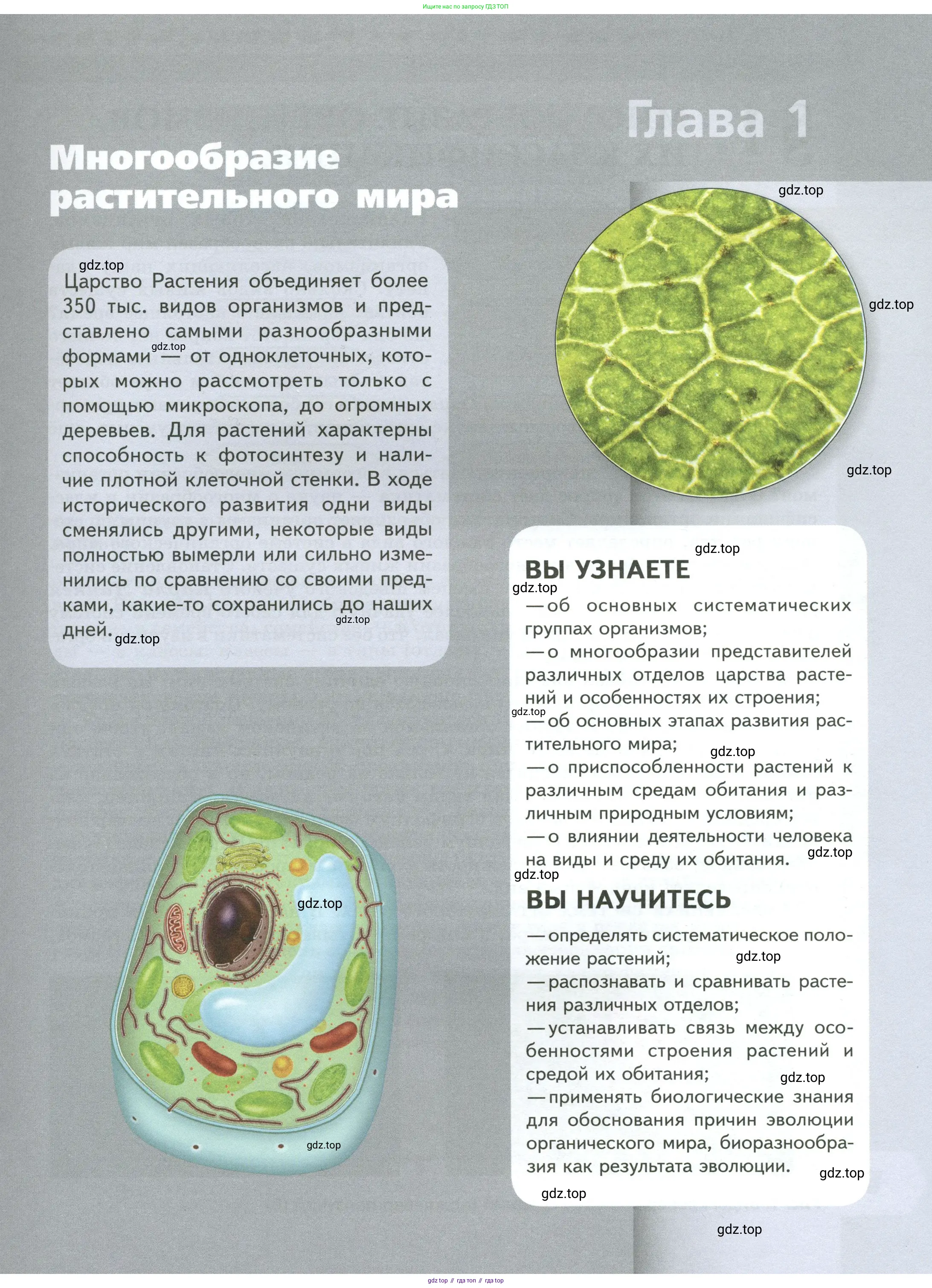 Биология, 7 класс Учебник, авторы: Пасечник Владимир Васильевич, Суматохин Сергей Витальевич, Гапонюк Зоя Георгиевна, Швецов Глеб Геннадьевич, издательство Просвещение, Москва, 2023, бирюзового цвета, страница 5