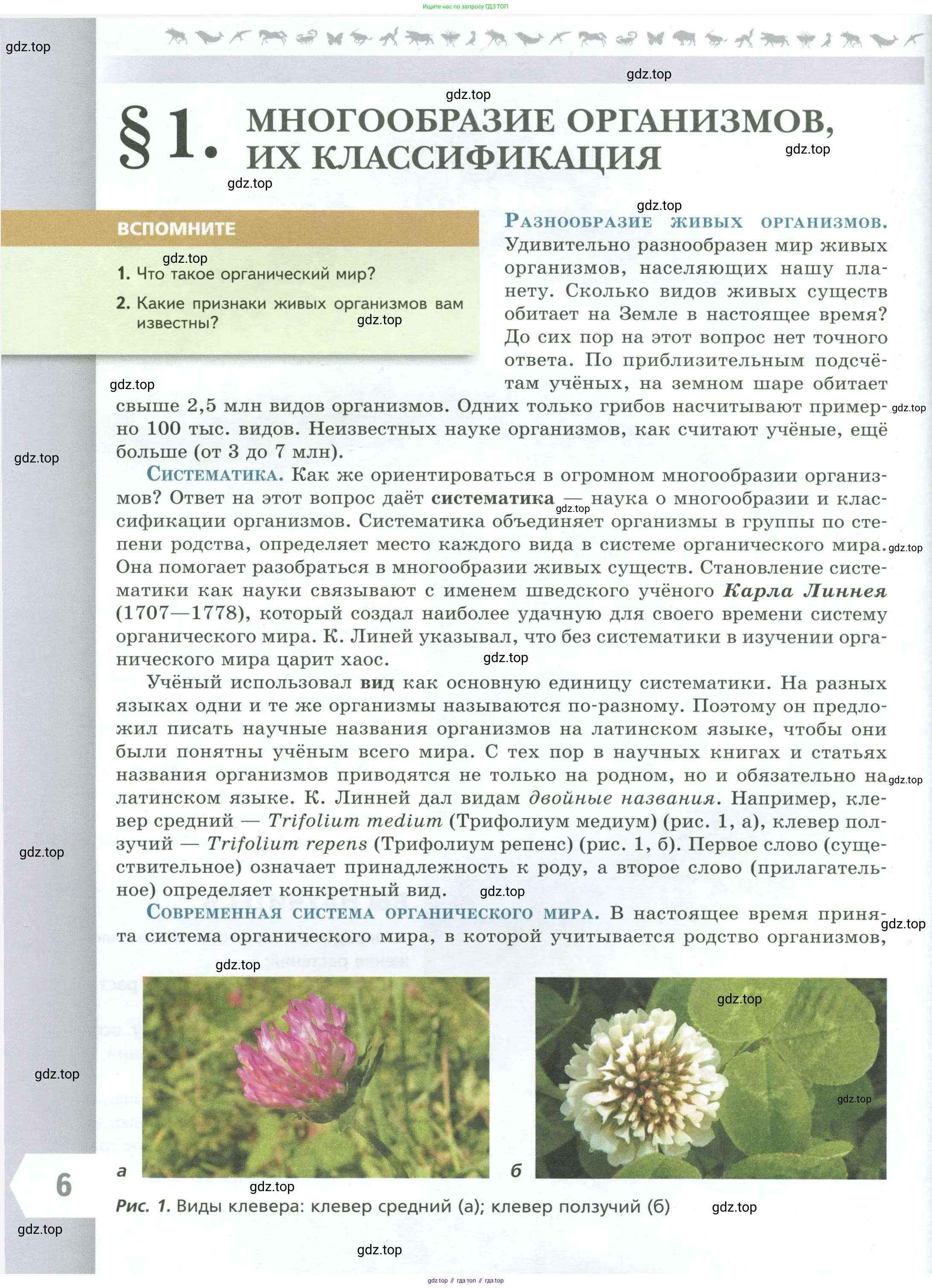 Биология, 7 класс Учебник, авторы: Пасечник Владимир Васильевич, Суматохин Сергей Витальевич, Гапонюк Зоя Георгиевна, Швецов Глеб Геннадьевич, издательство Просвещение, Москва, 2023, бирюзового цвета, страница 6