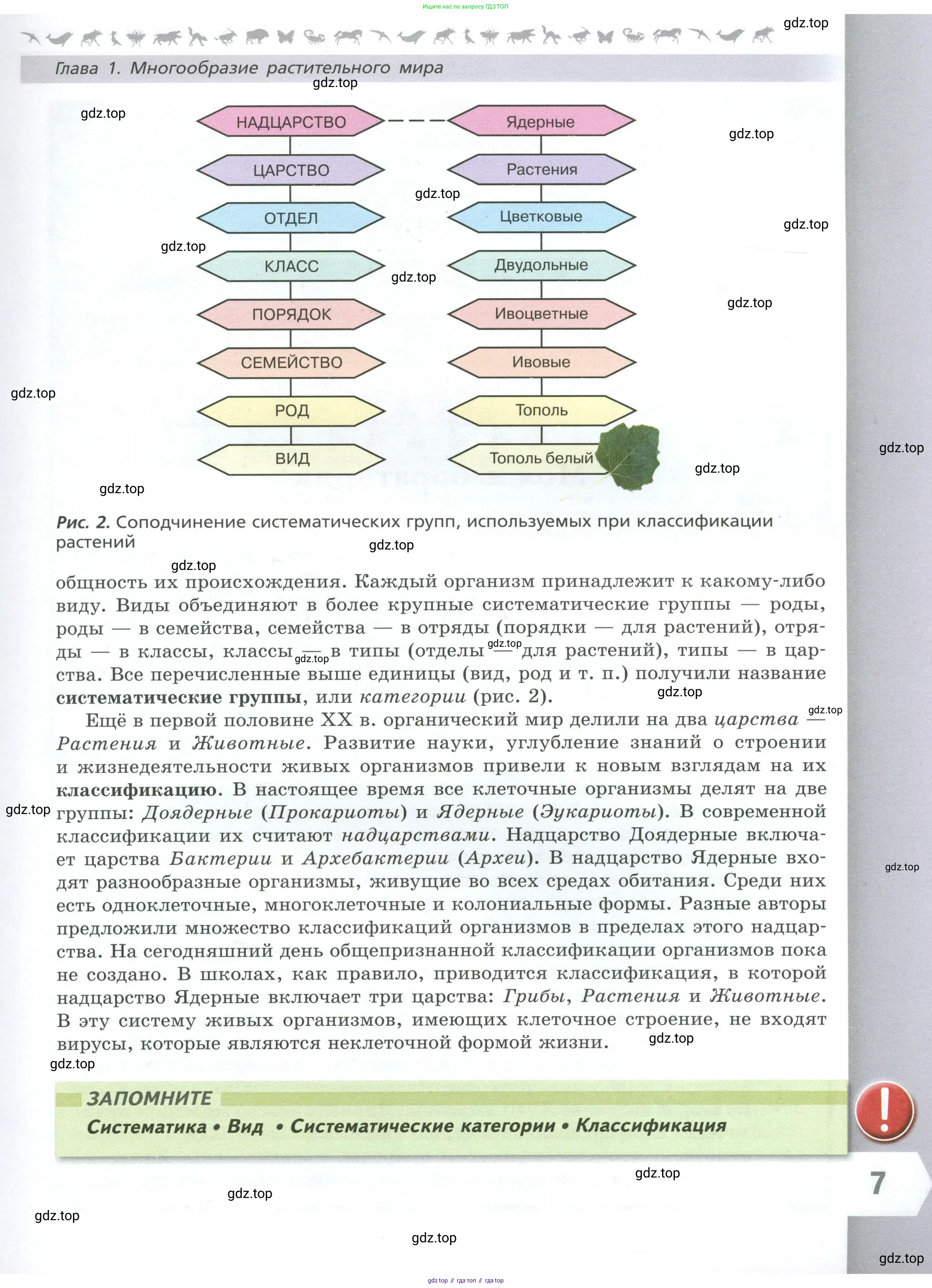 Биология, 7 класс Учебник, авторы: Пасечник Владимир Васильевич, Суматохин Сергей Витальевич, Гапонюк Зоя Георгиевна, Швецов Глеб Геннадьевич, издательство Просвещение, Москва, 2023, бирюзового цвета, страница 7