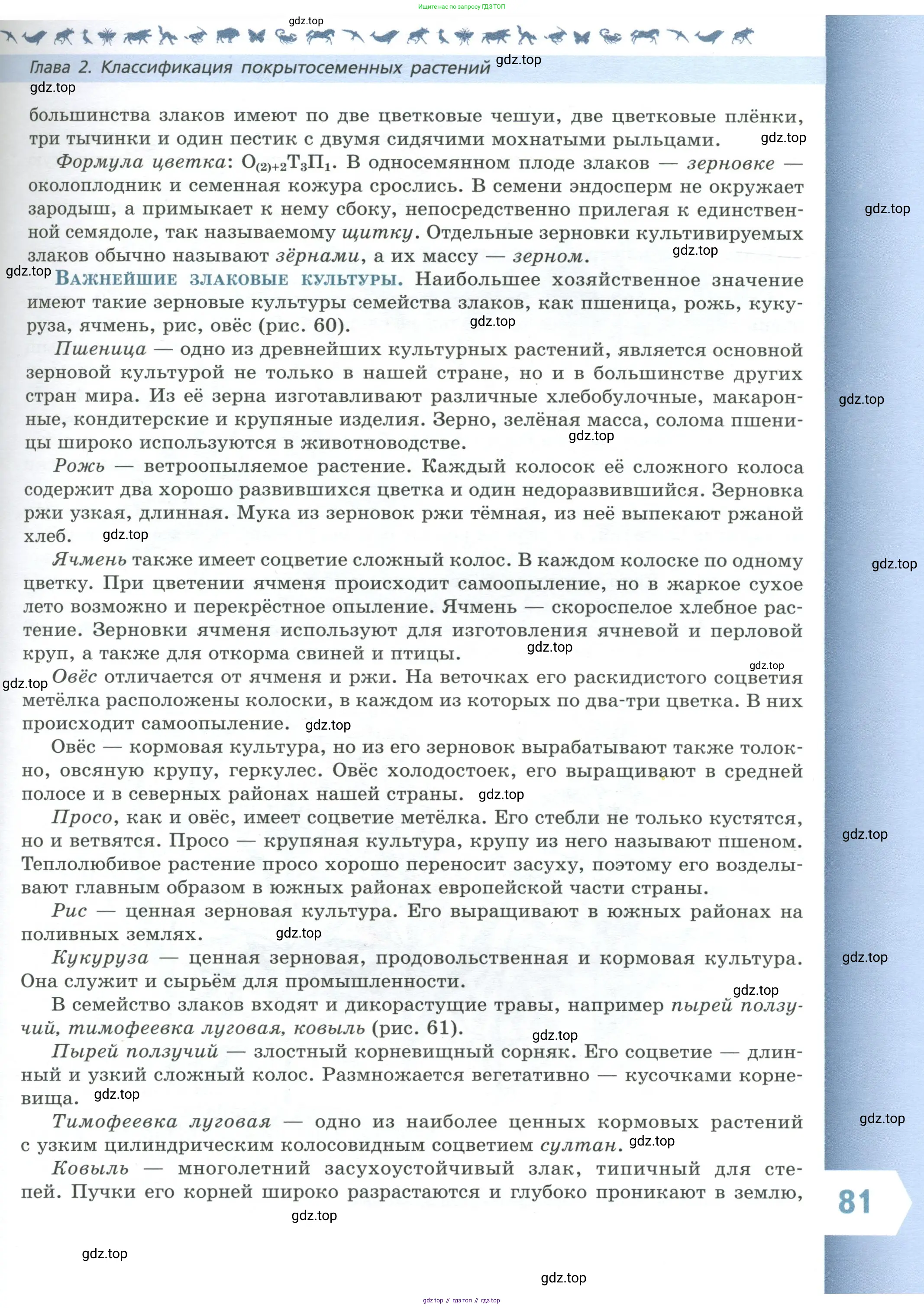 Биология, 7 класс Учебник, авторы: Пасечник Владимир Васильевич, Суматохин Сергей Витальевич, Гапонюк Зоя Георгиевна, Швецов Глеб Геннадьевич, издательство Просвещение, Москва, 2023, бирюзового цвета, страница 81