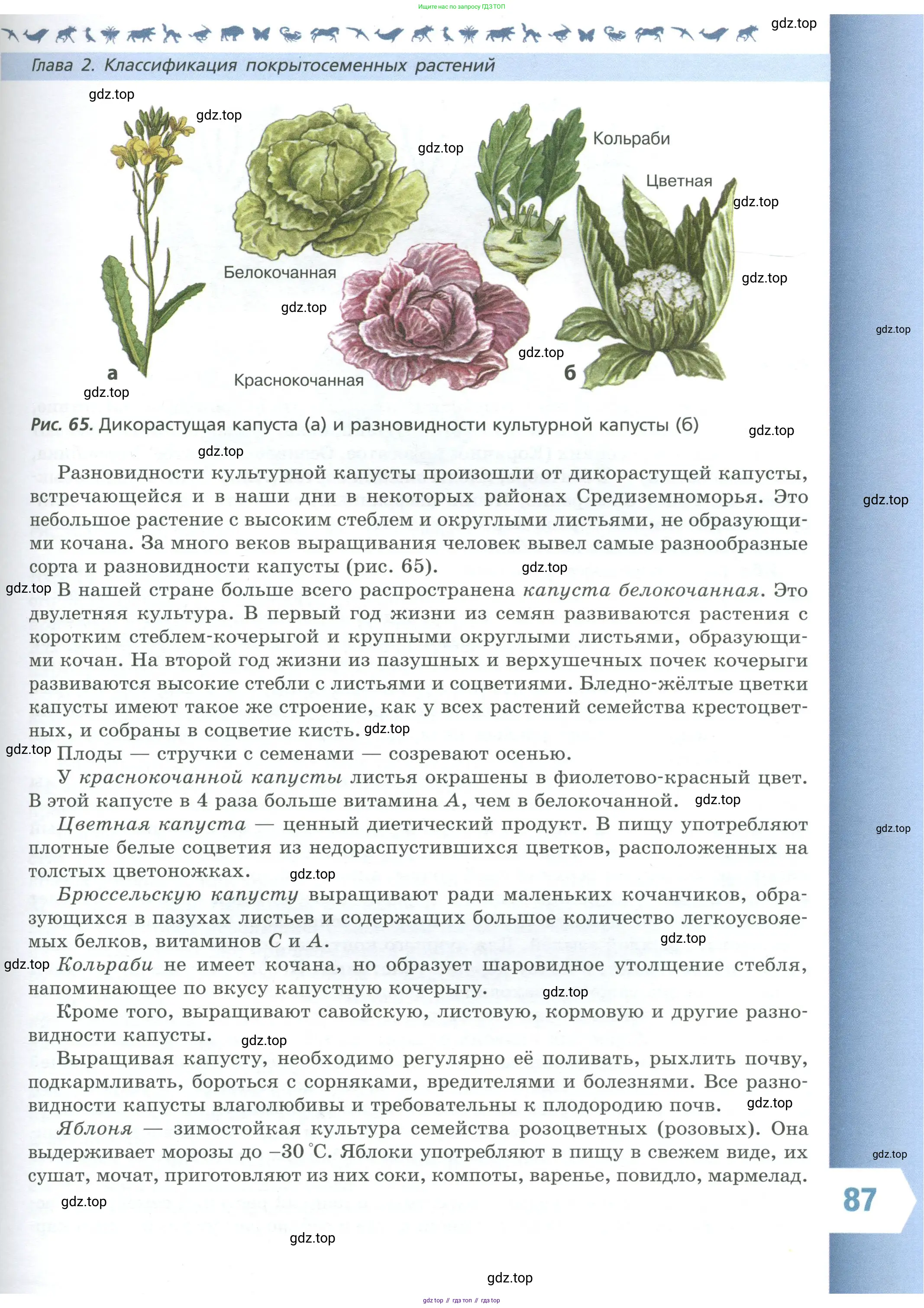 Биология, 7 класс Учебник, авторы: Пасечник Владимир Васильевич, Суматохин Сергей Витальевич, Гапонюк Зоя Георгиевна, Швецов Глеб Геннадьевич, издательство Просвещение, Москва, 2023, бирюзового цвета, страница 87