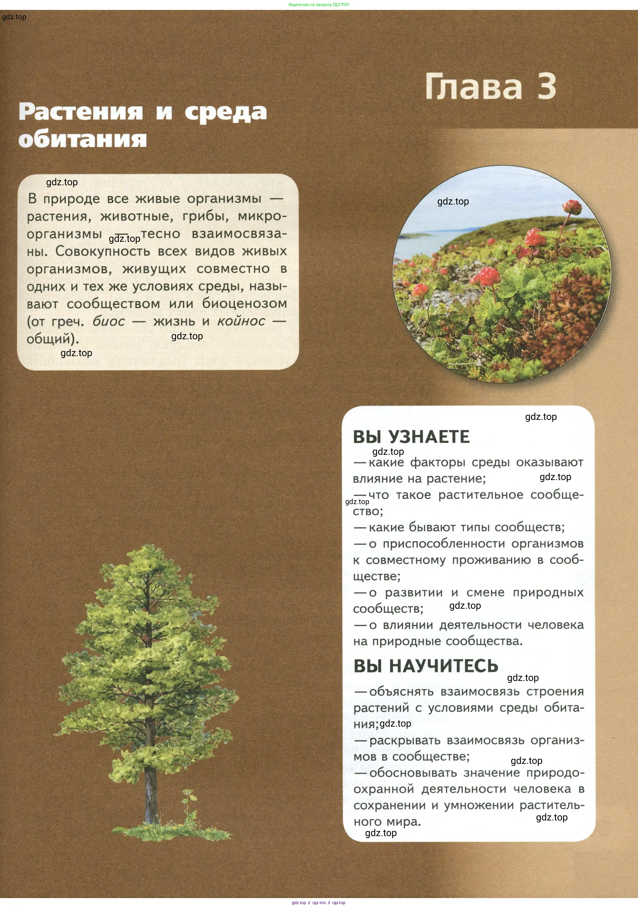 Биология, 7 класс Учебник, авторы: Пасечник Владимир Васильевич, Суматохин Сергей Витальевич, Гапонюк Зоя Георгиевна, Швецов Глеб Геннадьевич, издательство Просвещение, Москва, 2023, бирюзового цвета, страница 97