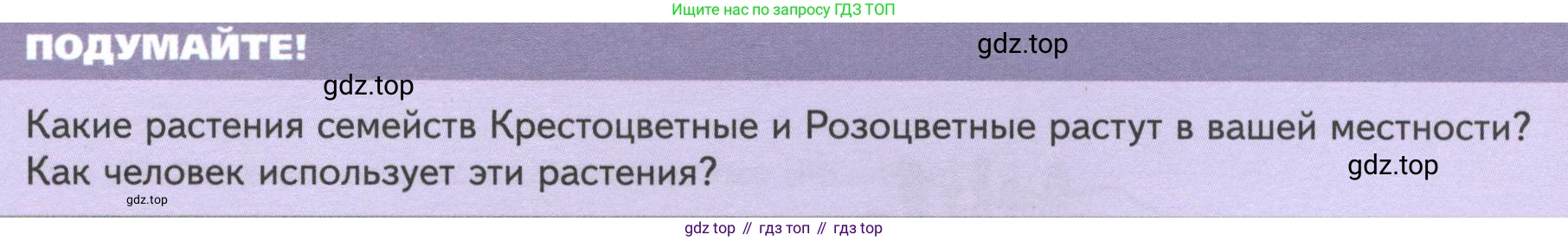 Биология, 7 класс Учебник, авторы: Пасечник Владимир Васильевич, Суматохин Сергей Витальевич, Гапонюк Зоя Георгиевна, Швецов Глеб Геннадьевич, издательство Просвещение, Москва, 2023, бирюзового цвета, страница 72, Условие