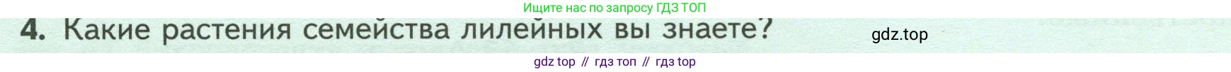 Биология, 7 класс Учебник, авторы: Пасечник Владимир Васильевич, Суматохин Сергей Витальевич, Гапонюк Зоя Георгиевна, Швецов Глеб Геннадьевич, издательство Просвещение, Москва, 2023, бирюзового цвета, страница 84, номер 4, Условие