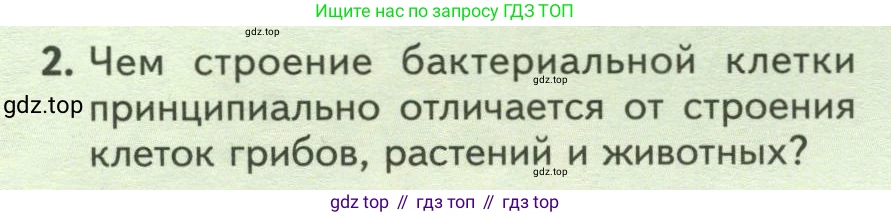 ГДЗ Биология, 7 класс Учебник, авторы: Пасечник Владимир Васильевич, Суматохин Сергей Витальевич, Гапонюк Зоя Георгиевна, Швецов Глеб Геннадьевич, издательство Просвещение, Москва, 2023, бирюзового цвета, страница 128, номер 2, Условие