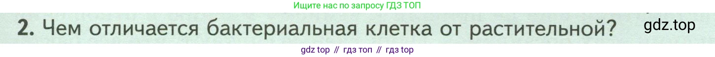 ГДЗ Биология, 7 класс Учебник, авторы: Пасечник Владимир Васильевич, Суматохин Сергей Витальевич, Гапонюк Зоя Георгиевна, Швецов Глеб Геннадьевич, издательство Просвещение, Москва, 2023, бирюзового цвета, страница 131, номер 2, Условие