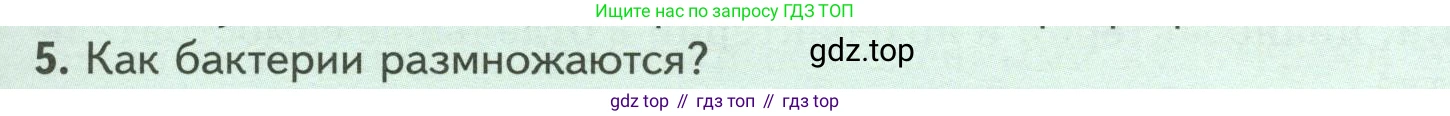 ГДЗ Биология, 7 класс Учебник, авторы: Пасечник Владимир Васильевич, Суматохин Сергей Витальевич, Гапонюк Зоя Георгиевна, Швецов Глеб Геннадьевич, издательство Просвещение, Москва, 2023, бирюзового цвета, страница 131, номер 5, Условие