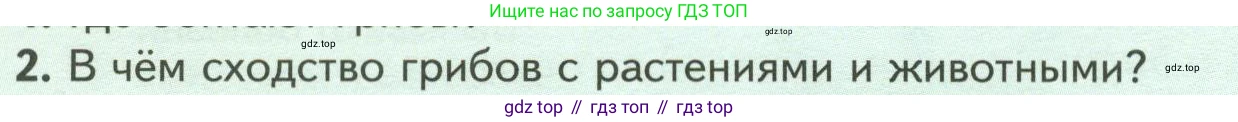 Биология, 7 класс Учебник, авторы: Пасечник Владимир Васильевич, Суматохин Сергей Витальевич, Гапонюк Зоя Георгиевна, Швецов Глеб Геннадьевич, издательство Просвещение, Москва, 2023, бирюзового цвета, страница 146, номер 2, Условие