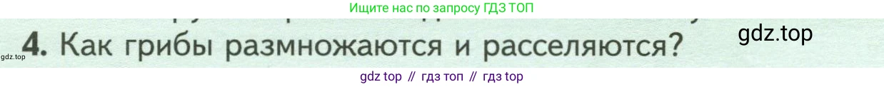 Биология, 7 класс Учебник, авторы: Пасечник Владимир Васильевич, Суматохин Сергей Витальевич, Гапонюк Зоя Георгиевна, Швецов Глеб Геннадьевич, издательство Просвещение, Москва, 2023, бирюзового цвета, страница 146, номер 4, Условие