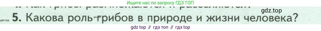Биология, 7 класс Учебник, авторы: Пасечник Владимир Васильевич, Суматохин Сергей Витальевич, Гапонюк Зоя Георгиевна, Швецов Глеб Геннадьевич, издательство Просвещение, Москва, 2023, бирюзового цвета, страница 146, номер 5, Условие