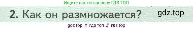 Биология, 7 класс Учебник, авторы: Пасечник Владимир Васильевич, Суматохин Сергей Витальевич, Гапонюк Зоя Георгиевна, Швецов Глеб Геннадьевич, издательство Просвещение, Москва, 2023, бирюзового цвета, страница 159, номер 2, Условие