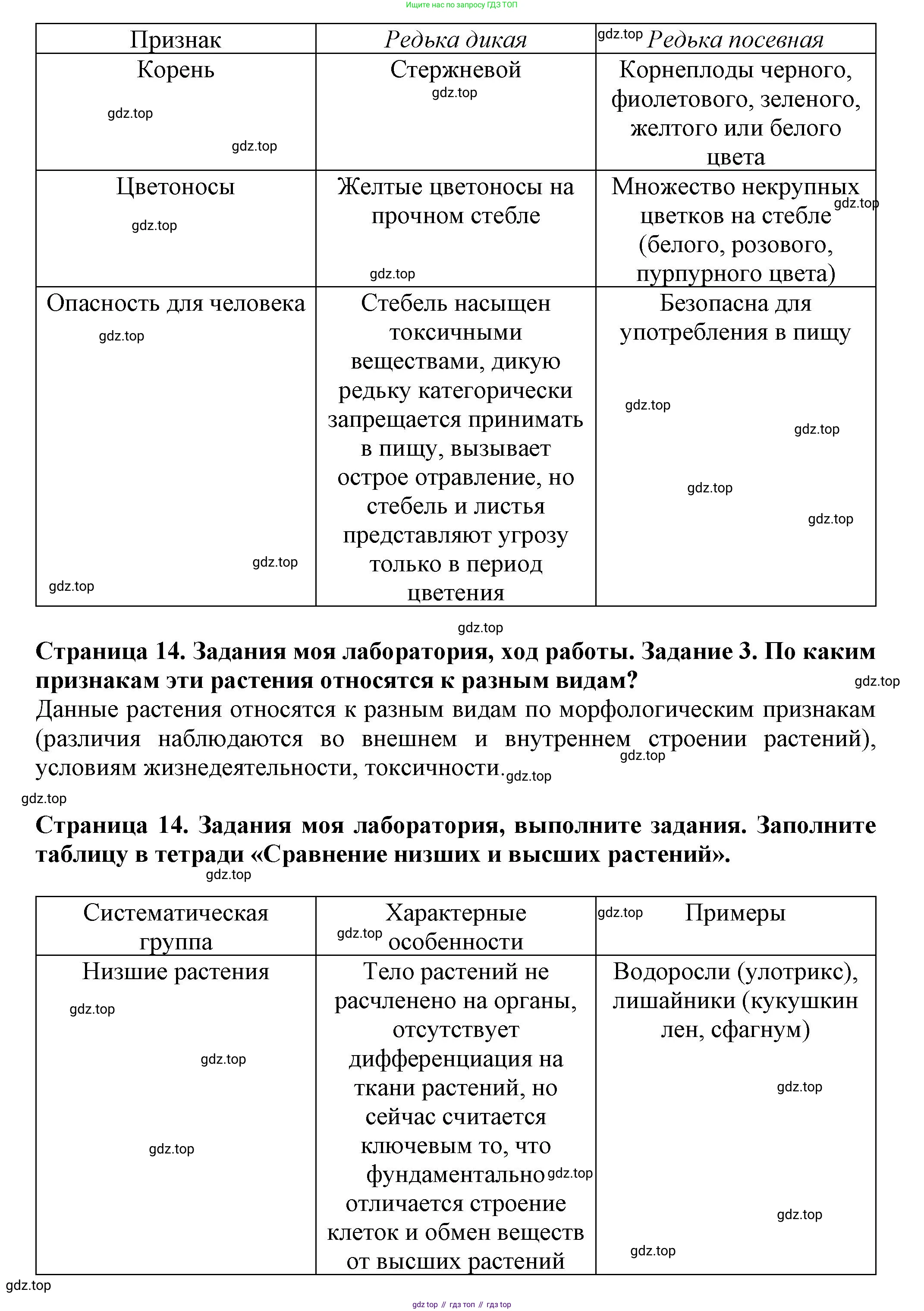 Биология, 7 класс Учебник, авторы: Пасечник Владимир Васильевич, Суматохин Сергей Витальевич, Гапонюк Зоя Георгиевна, Швецов Глеб Геннадьевич, издательство Просвещение, Москва, 2023, бирюзового цвета, страница 14, Решение 1 (продолжение 2)