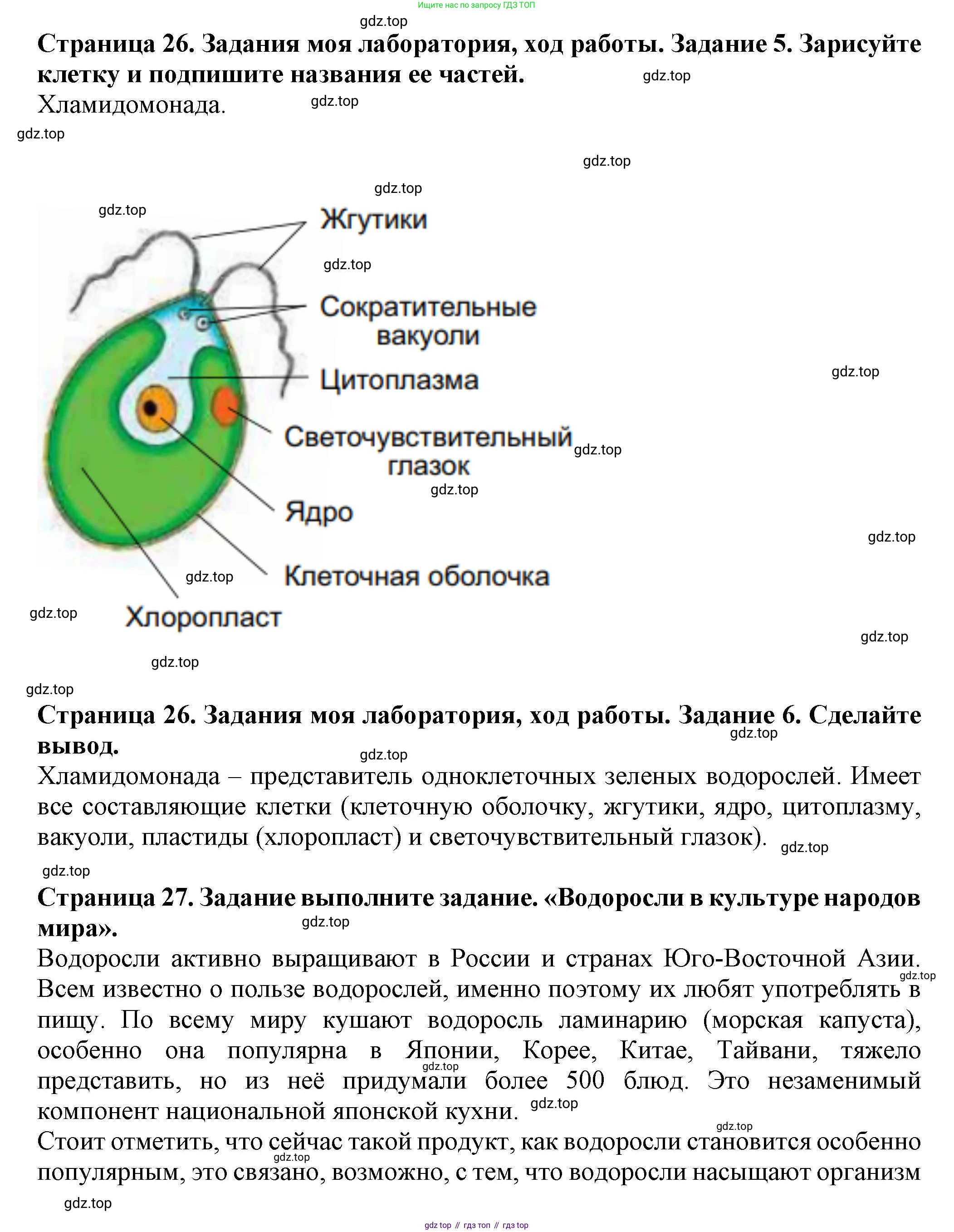 Биология, 7 класс Учебник, авторы: Пасечник Владимир Васильевич, Суматохин Сергей Витальевич, Гапонюк Зоя Георгиевна, Швецов Глеб Геннадьевич, издательство Просвещение, Москва, 2023, бирюзового цвета, страница 26, Решение 1