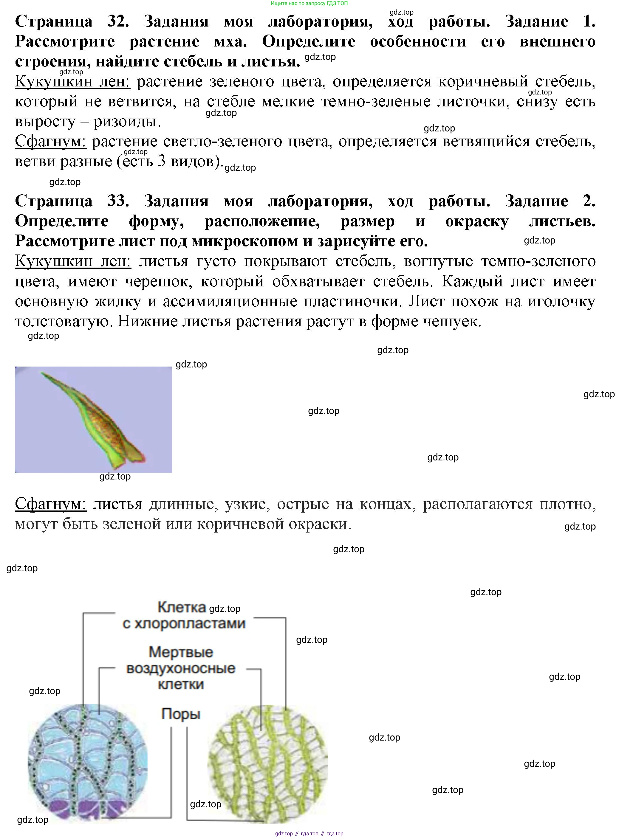 Биология, 7 класс Учебник, авторы: Пасечник Владимир Васильевич, Суматохин Сергей Витальевич, Гапонюк Зоя Георгиевна, Швецов Глеб Геннадьевич, издательство Просвещение, Москва, 2023, бирюзового цвета, страница 32, Решение 1