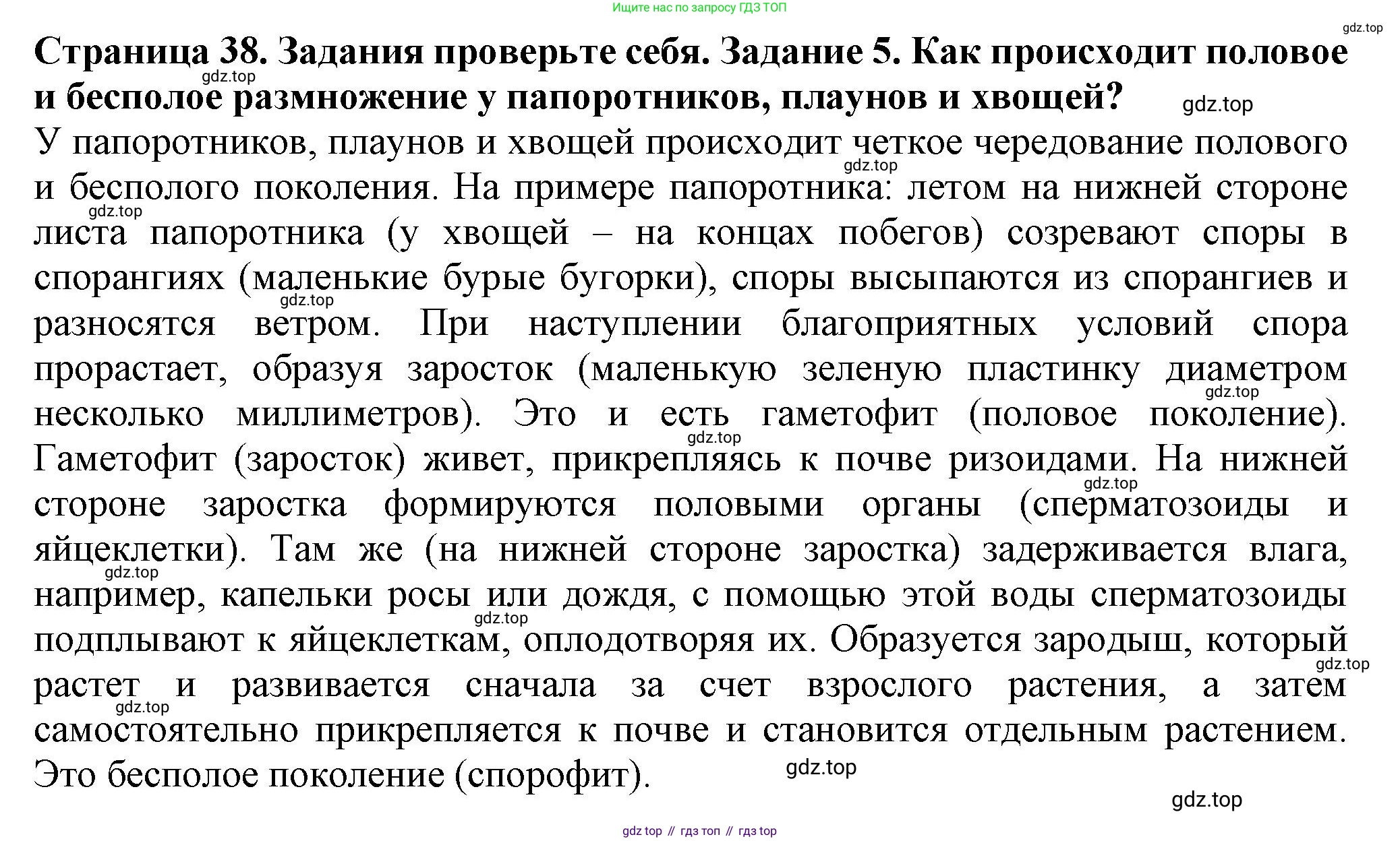 ГДЗ Биология, 7 класс Учебник, авторы: Пасечник Владимир Васильевич, Суматохин Сергей Витальевич, Гапонюк Зоя Георгиевна, Швецов Глеб Геннадьевич, издательство Просвещение, Москва, 2023, бирюзового цвета, страница 38, номер 5, Решение 1