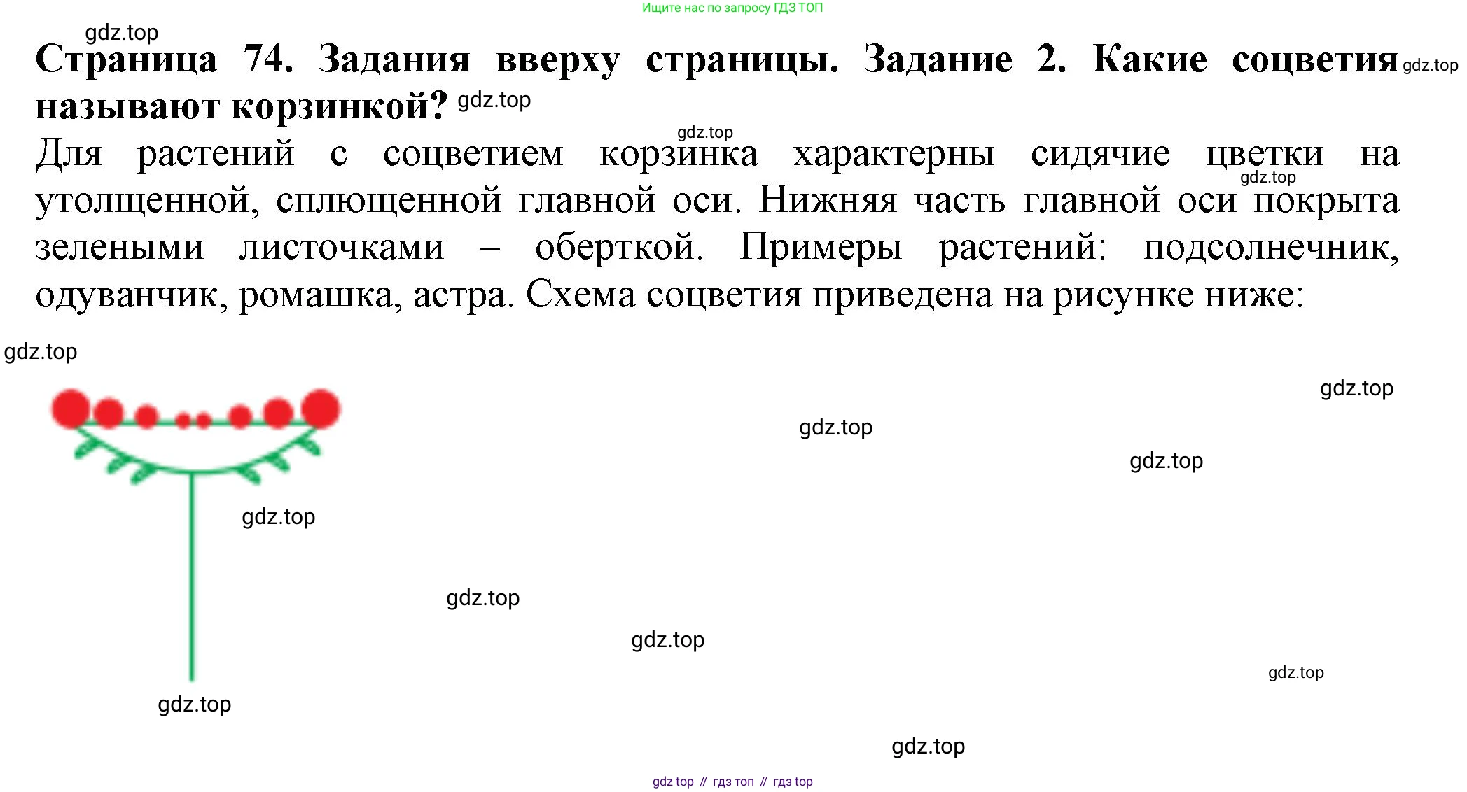 ГДЗ Биология, 7 класс Учебник, авторы: Пасечник Владимир Васильевич, Суматохин Сергей Витальевич, Гапонюк Зоя Георгиевна, Швецов Глеб Геннадьевич, издательство Просвещение, Москва, 2023, бирюзового цвета, страница 74, номер 2, Решение 1
