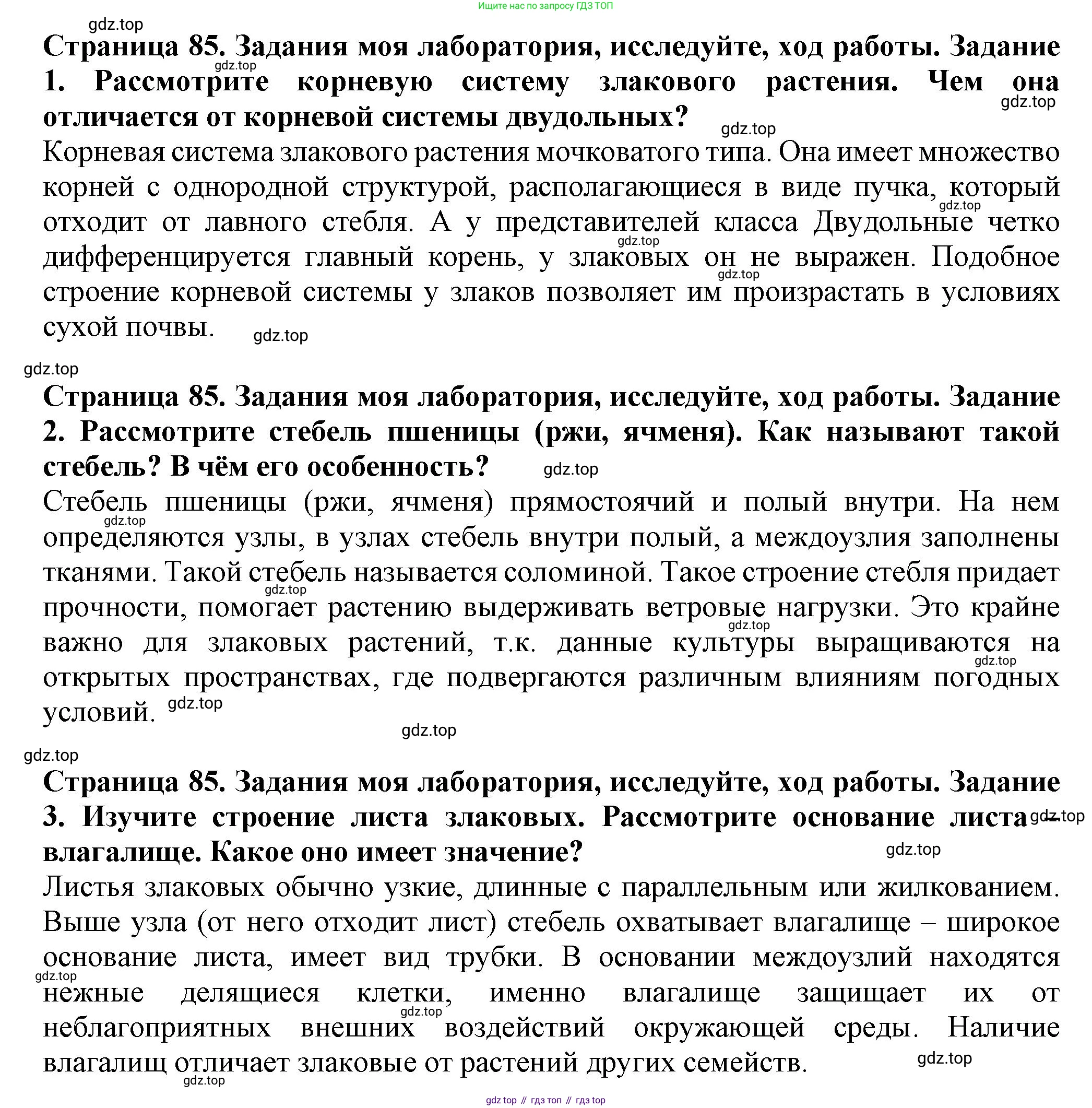 Биология, 7 класс Учебник, авторы: Пасечник Владимир Васильевич, Суматохин Сергей Витальевич, Гапонюк Зоя Георгиевна, Швецов Глеб Геннадьевич, издательство Просвещение, Москва, 2023, бирюзового цвета, страница 85, Решение 1