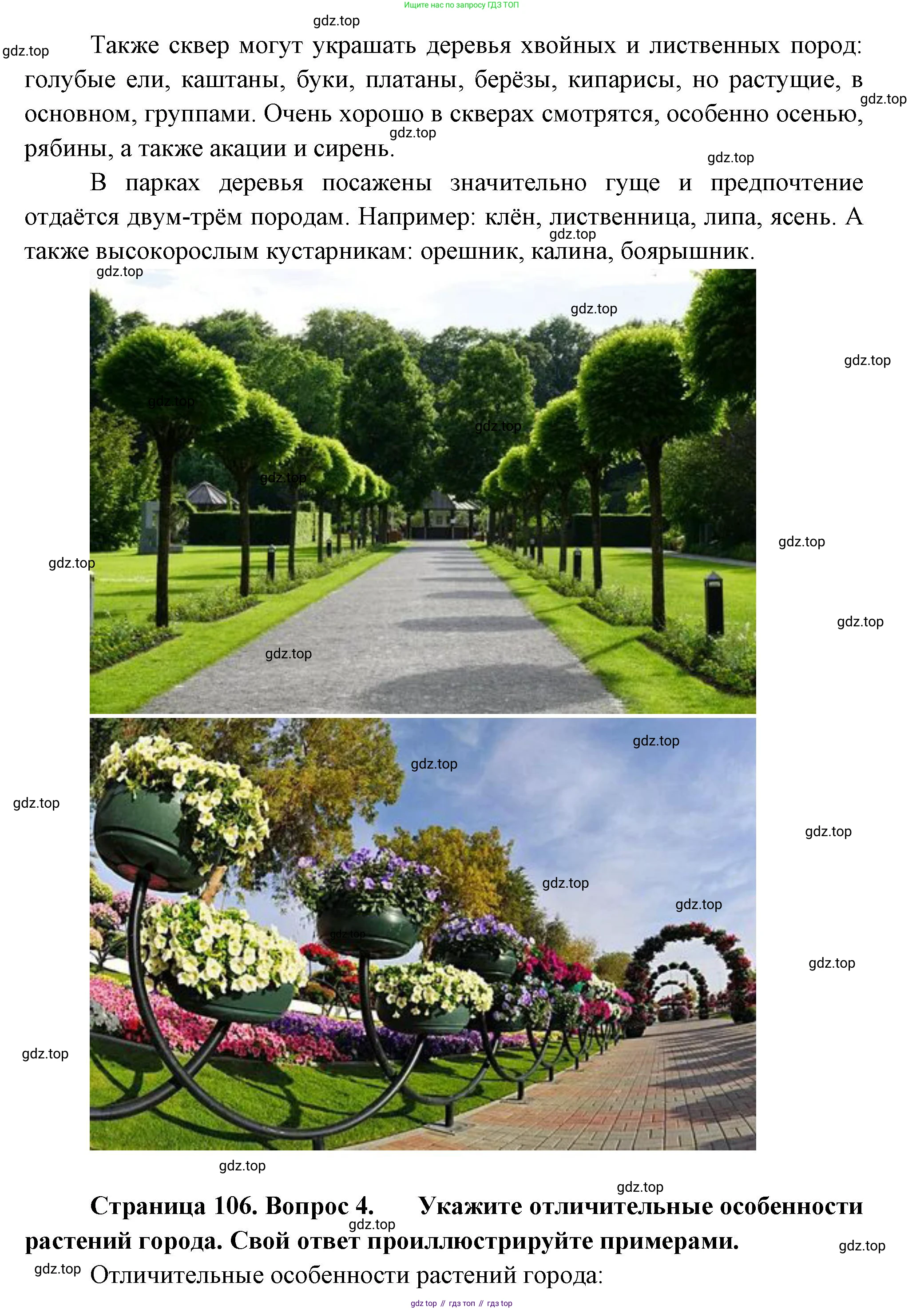 Биология, 7 класс Учебник, авторы: Пасечник Владимир Васильевич, Суматохин Сергей Витальевич, Гапонюк Зоя Георгиевна, Швецов Глеб Геннадьевич, издательство Просвещение, Москва, 2023, бирюзового цвета, страница 106, Решение 1 (продолжение 3)