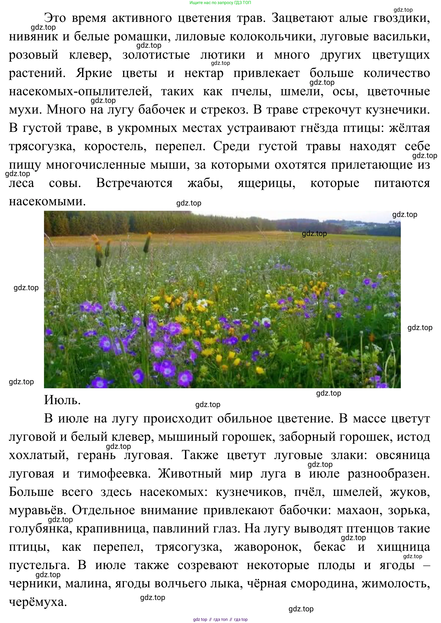 ГДЗ Биология, 7 класс Учебник, авторы: Пасечник Владимир Васильевич, Суматохин Сергей Витальевич, Гапонюк Зоя Георгиевна, Швецов Глеб Геннадьевич, издательство Просвещение, Москва, 2023, бирюзового цвета, страница 118, Решение 1 (продолжение 2)