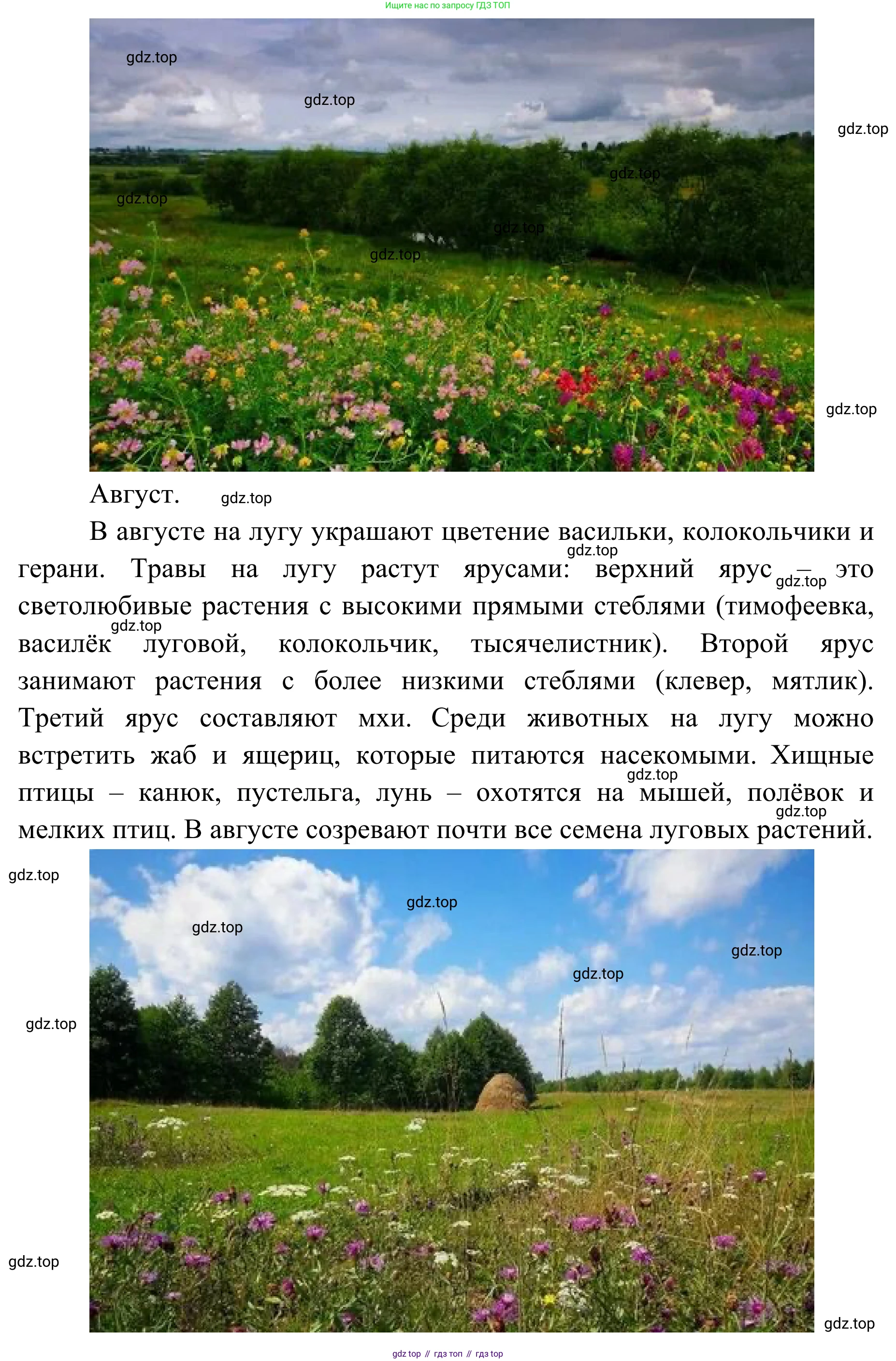 ГДЗ Биология, 7 класс Учебник, авторы: Пасечник Владимир Васильевич, Суматохин Сергей Витальевич, Гапонюк Зоя Георгиевна, Швецов Глеб Геннадьевич, издательство Просвещение, Москва, 2023, бирюзового цвета, страница 118, Решение 1 (продолжение 3)