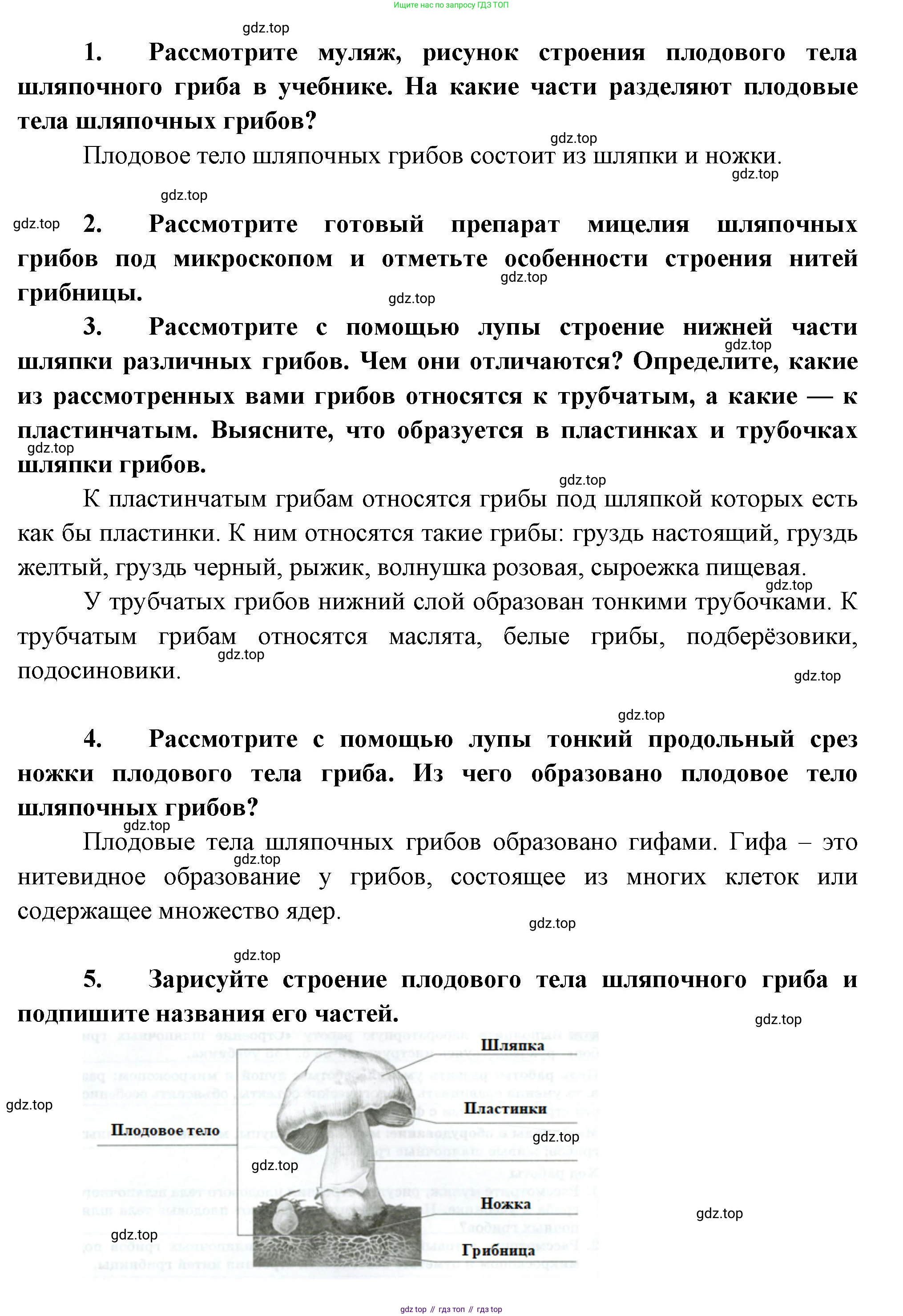 Биология, 7 класс Учебник, авторы: Пасечник Владимир Васильевич, Суматохин Сергей Витальевич, Гапонюк Зоя Георгиевна, Швецов Глеб Геннадьевич, издательство Просвещение, Москва, 2023, бирюзового цвета, страница 155, Решение 1 (продолжение 2)