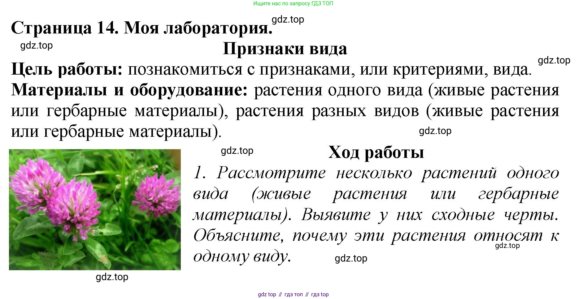 Биология, 7 класс Учебник, авторы: Пасечник Владимир Васильевич, Суматохин Сергей Витальевич, Гапонюк Зоя Георгиевна, Швецов Глеб Геннадьевич, издательство Просвещение, Москва, 2023, бирюзового цвета, страница 14, Решение 2