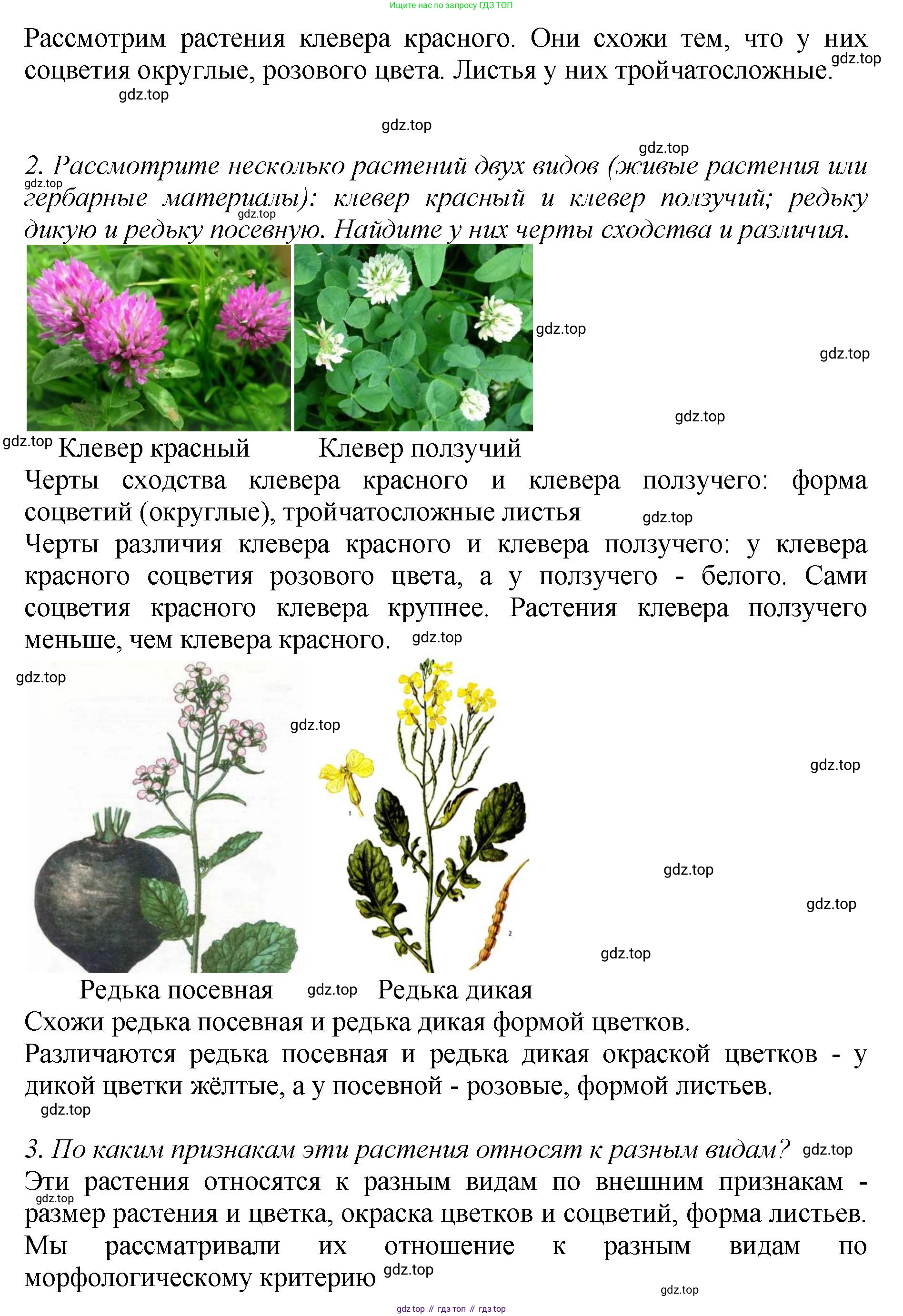 Биология, 7 класс Учебник, авторы: Пасечник Владимир Васильевич, Суматохин Сергей Витальевич, Гапонюк Зоя Георгиевна, Швецов Глеб Геннадьевич, издательство Просвещение, Москва, 2023, бирюзового цвета, страница 14, Решение 2 (продолжение 2)