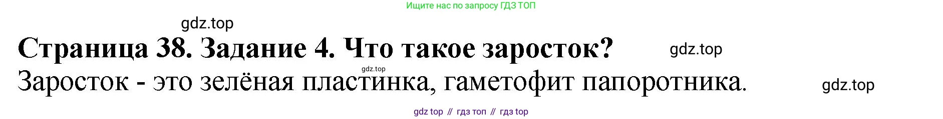 Биология, 7 класс Учебник, авторы: Пасечник Владимир Васильевич, Суматохин Сергей Витальевич, Гапонюк Зоя Георгиевна, Швецов Глеб Геннадьевич, издательство Просвещение, Москва, 2023, бирюзового цвета, страница 38, номер 4, Решение 2