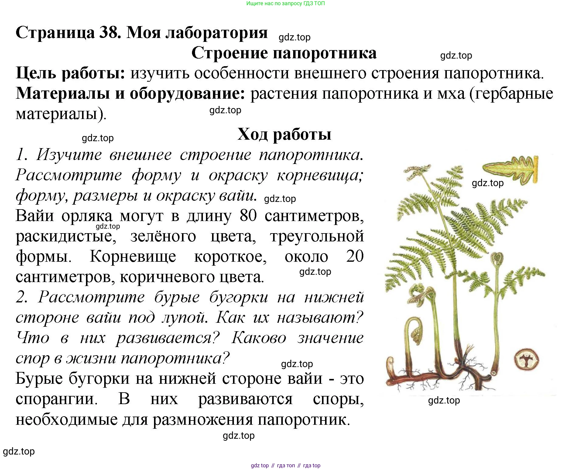 Биология, 7 класс Учебник, авторы: Пасечник Владимир Васильевич, Суматохин Сергей Витальевич, Гапонюк Зоя Георгиевна, Швецов Глеб Геннадьевич, издательство Просвещение, Москва, 2023, бирюзового цвета, страница 38, Решение 2