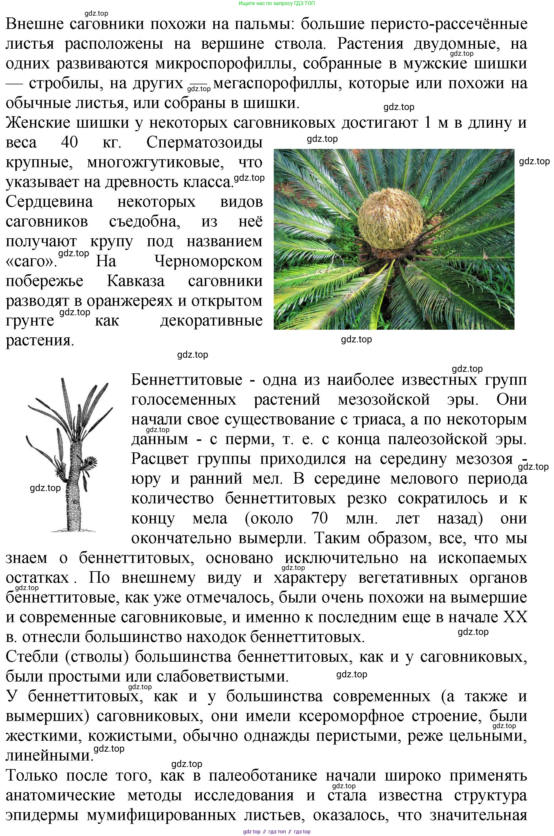 ГДЗ Биология, 7 класс Учебник, авторы: Пасечник Владимир Васильевич, Суматохин Сергей Витальевич, Гапонюк Зоя Георгиевна, Швецов Глеб Геннадьевич, издательство Просвещение, Москва, 2023, бирюзового цвета, страница 46, Решение 2 (продолжение 4)