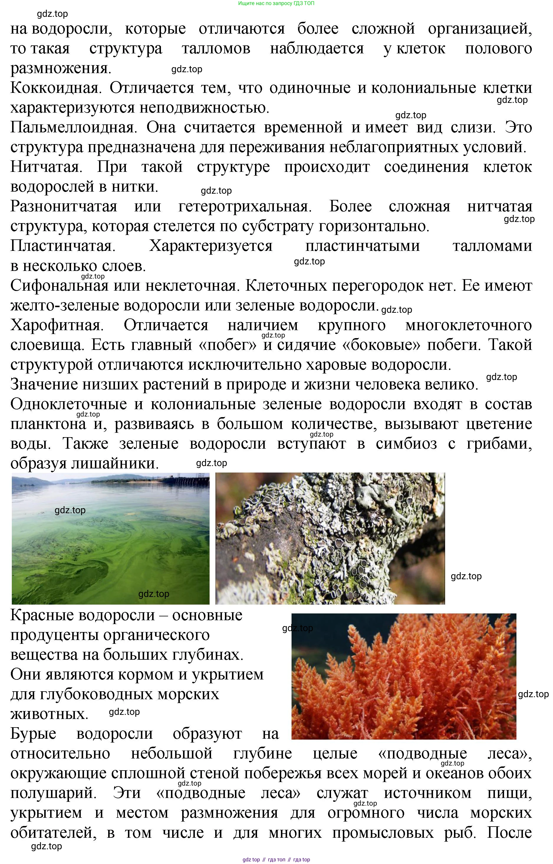 Биология, 7 класс Учебник, авторы: Пасечник Владимир Васильевич, Суматохин Сергей Витальевич, Гапонюк Зоя Георгиевна, Швецов Глеб Геннадьевич, издательство Просвещение, Москва, 2023, бирюзового цвета, страница 62, номер 2, Решение 2 (продолжение 2)