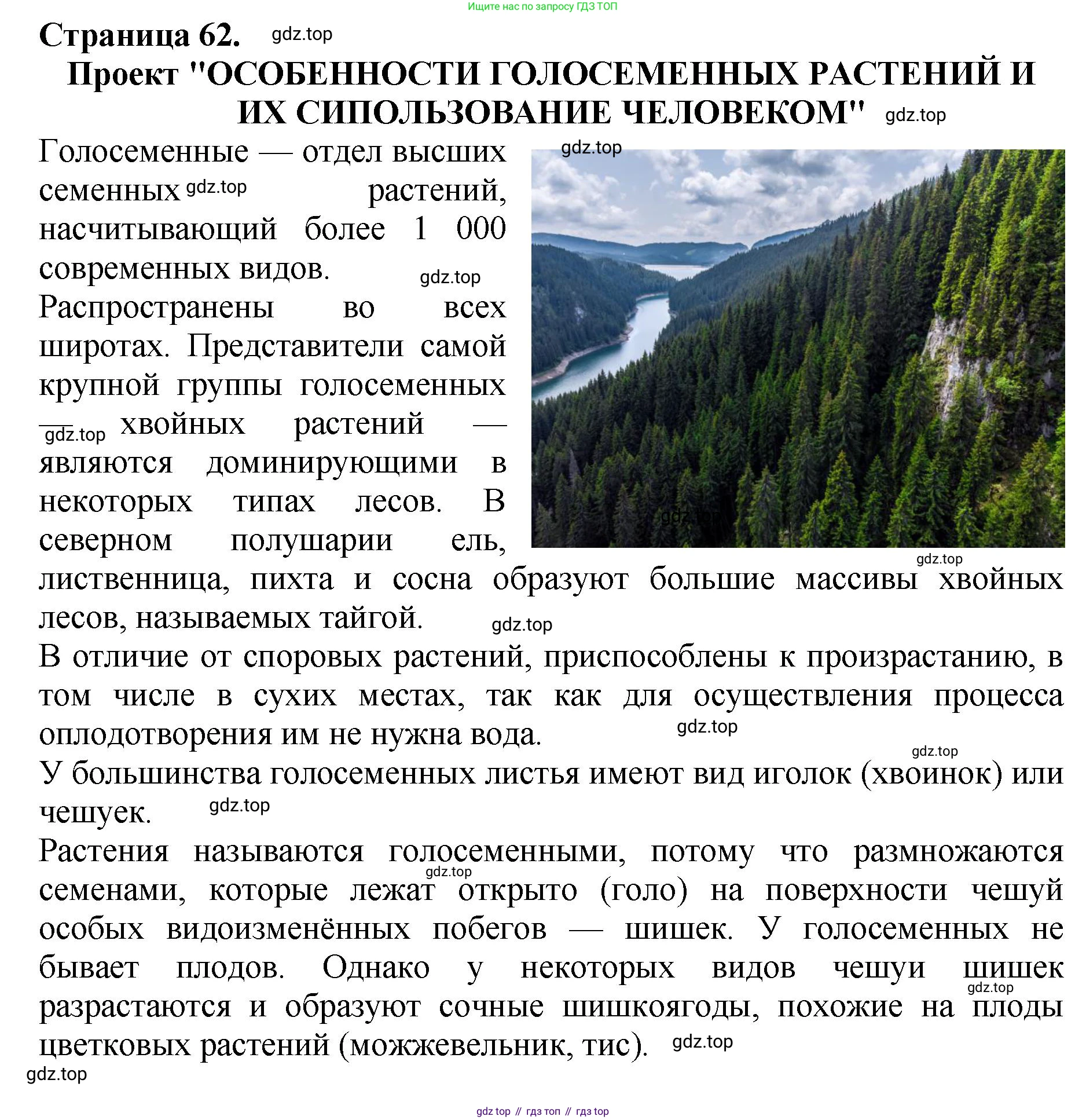 Биология, 7 класс Учебник, авторы: Пасечник Владимир Васильевич, Суматохин Сергей Витальевич, Гапонюк Зоя Георгиевна, Швецов Глеб Геннадьевич, издательство Просвещение, Москва, 2023, бирюзового цвета, страница 62, номер 3, Решение 2