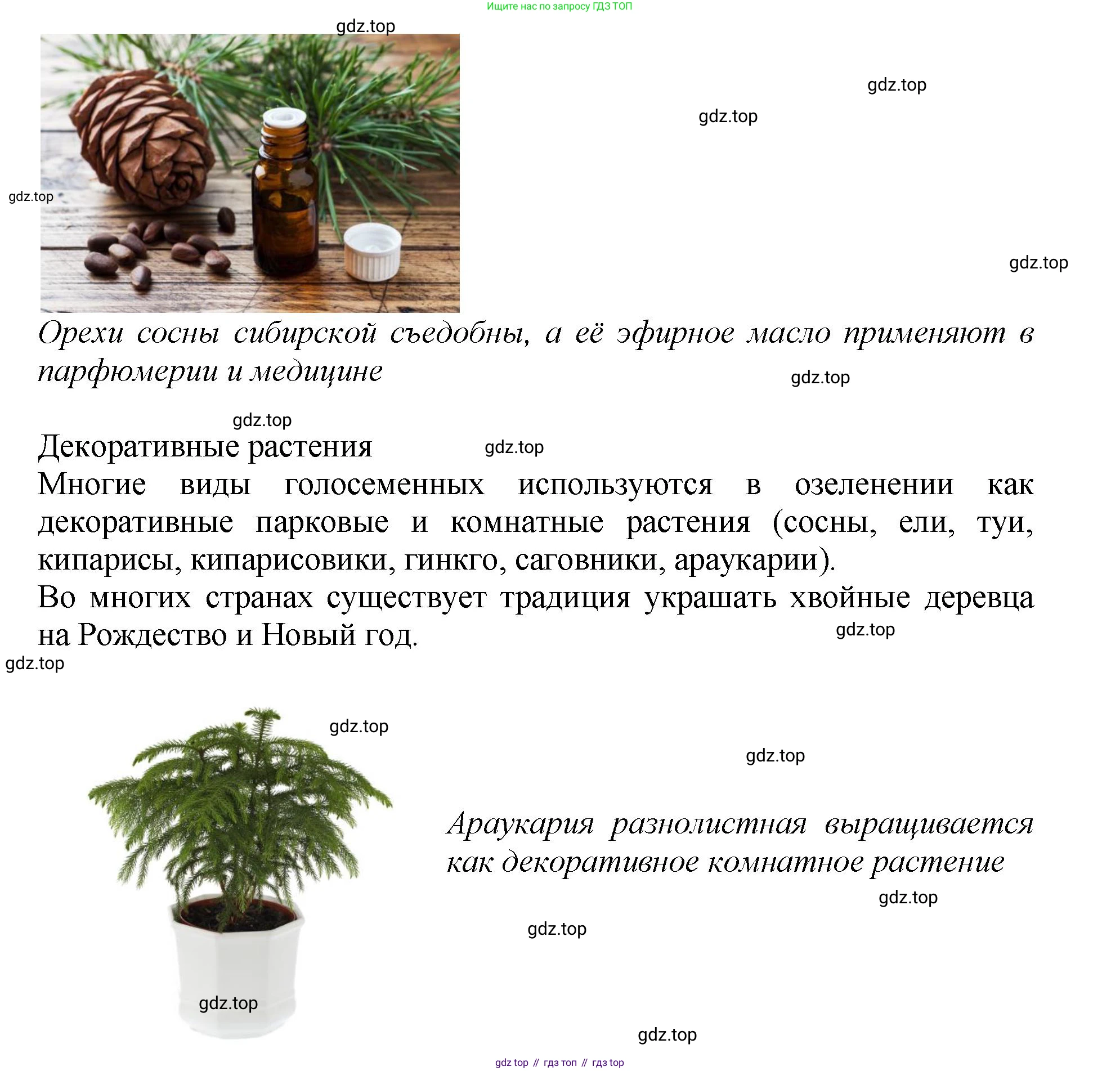 Биология, 7 класс Учебник, авторы: Пасечник Владимир Васильевич, Суматохин Сергей Витальевич, Гапонюк Зоя Георгиевна, Швецов Глеб Геннадьевич, издательство Просвещение, Москва, 2023, бирюзового цвета, страница 62, номер 3, Решение 2 (продолжение 7)