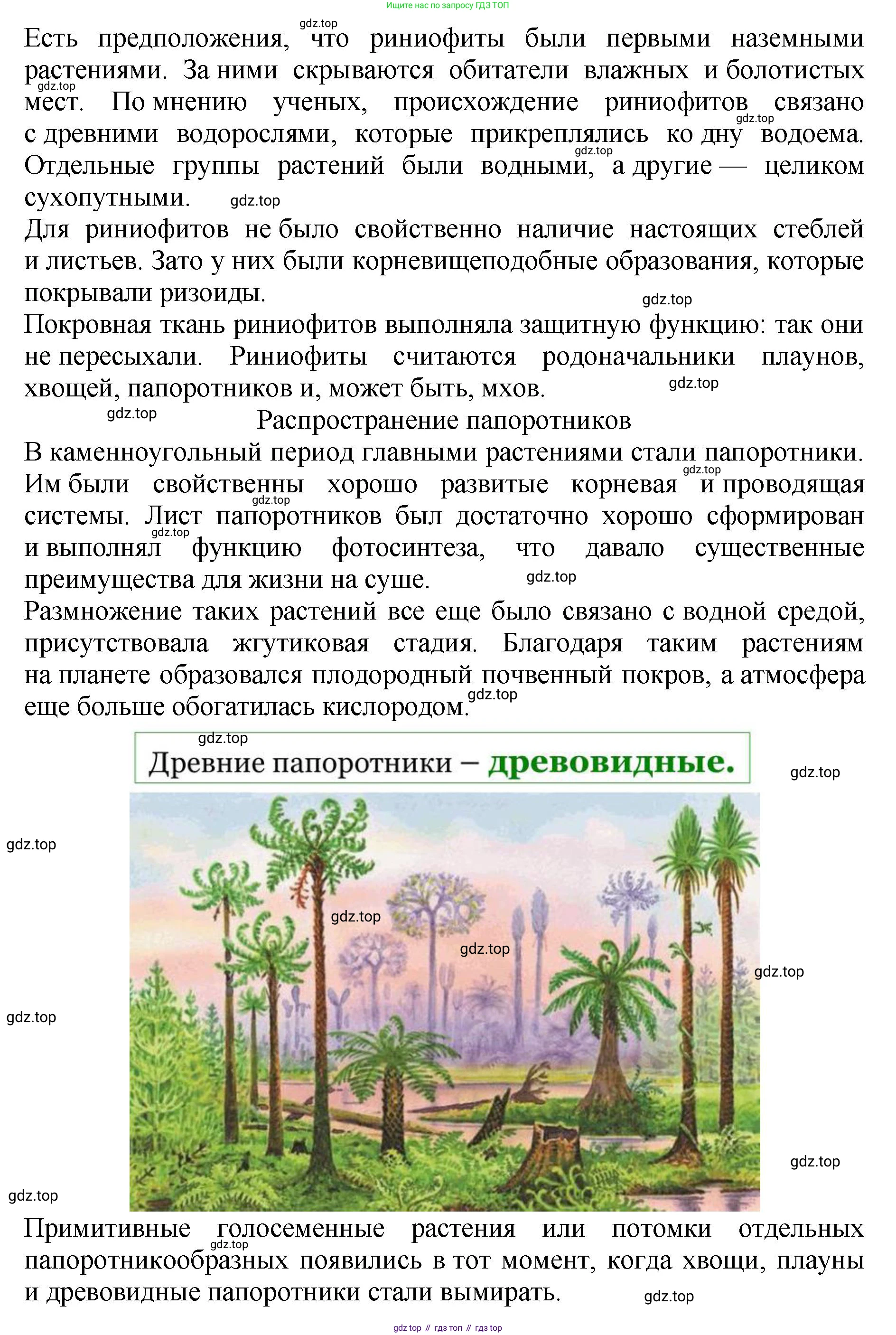 ГДЗ Биология, 7 класс Учебник, авторы: Пасечник Владимир Васильевич, Суматохин Сергей Витальевич, Гапонюк Зоя Георгиевна, Швецов Глеб Геннадьевич, издательство Просвещение, Москва, 2023, бирюзового цвета, страница 62, номер 5, Решение 2 (продолжение 3)
