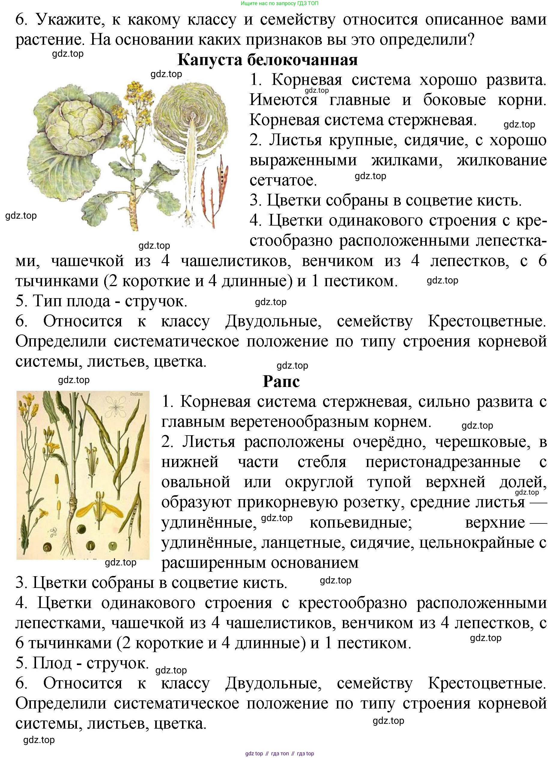 Биология, 7 класс Учебник, авторы: Пасечник Владимир Васильевич, Суматохин Сергей Витальевич, Гапонюк Зоя Георгиевна, Швецов Глеб Геннадьевич, издательство Просвещение, Москва, 2023, бирюзового цвета, страница 72, Решение 2 (продолжение 3)