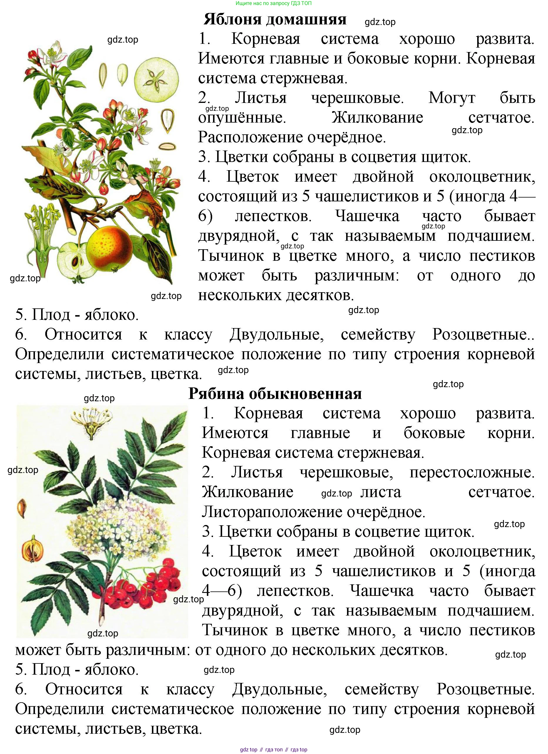 Биология, 7 класс Учебник, авторы: Пасечник Владимир Васильевич, Суматохин Сергей Витальевич, Гапонюк Зоя Георгиевна, Швецов Глеб Геннадьевич, издательство Просвещение, Москва, 2023, бирюзового цвета, страница 72, Решение 2 (продолжение 4)