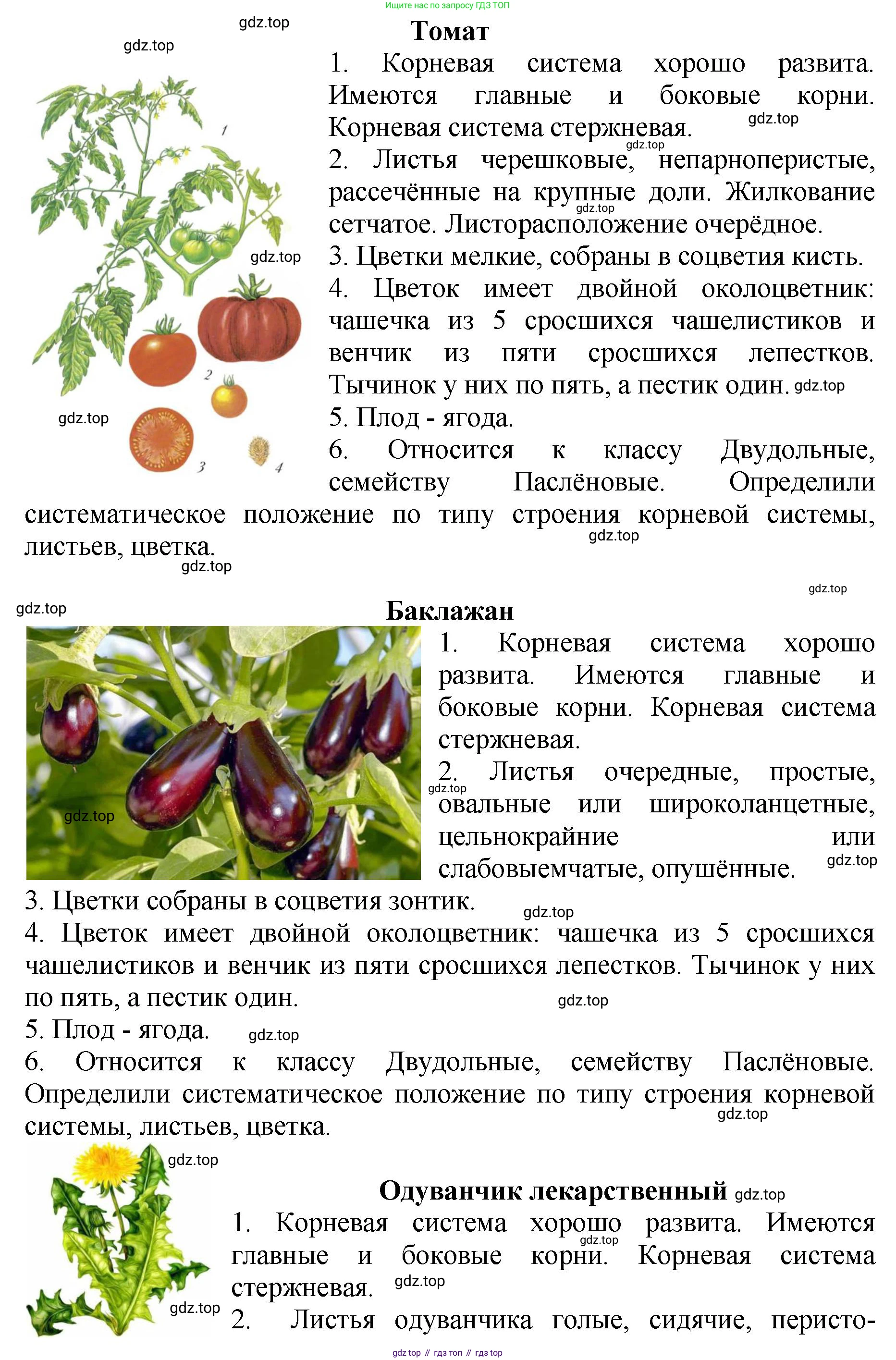 Биология, 7 класс Учебник, авторы: Пасечник Владимир Васильевич, Суматохин Сергей Витальевич, Гапонюк Зоя Георгиевна, Швецов Глеб Геннадьевич, издательство Просвещение, Москва, 2023, бирюзового цвета, страница 72, Решение 2 (продолжение 5)