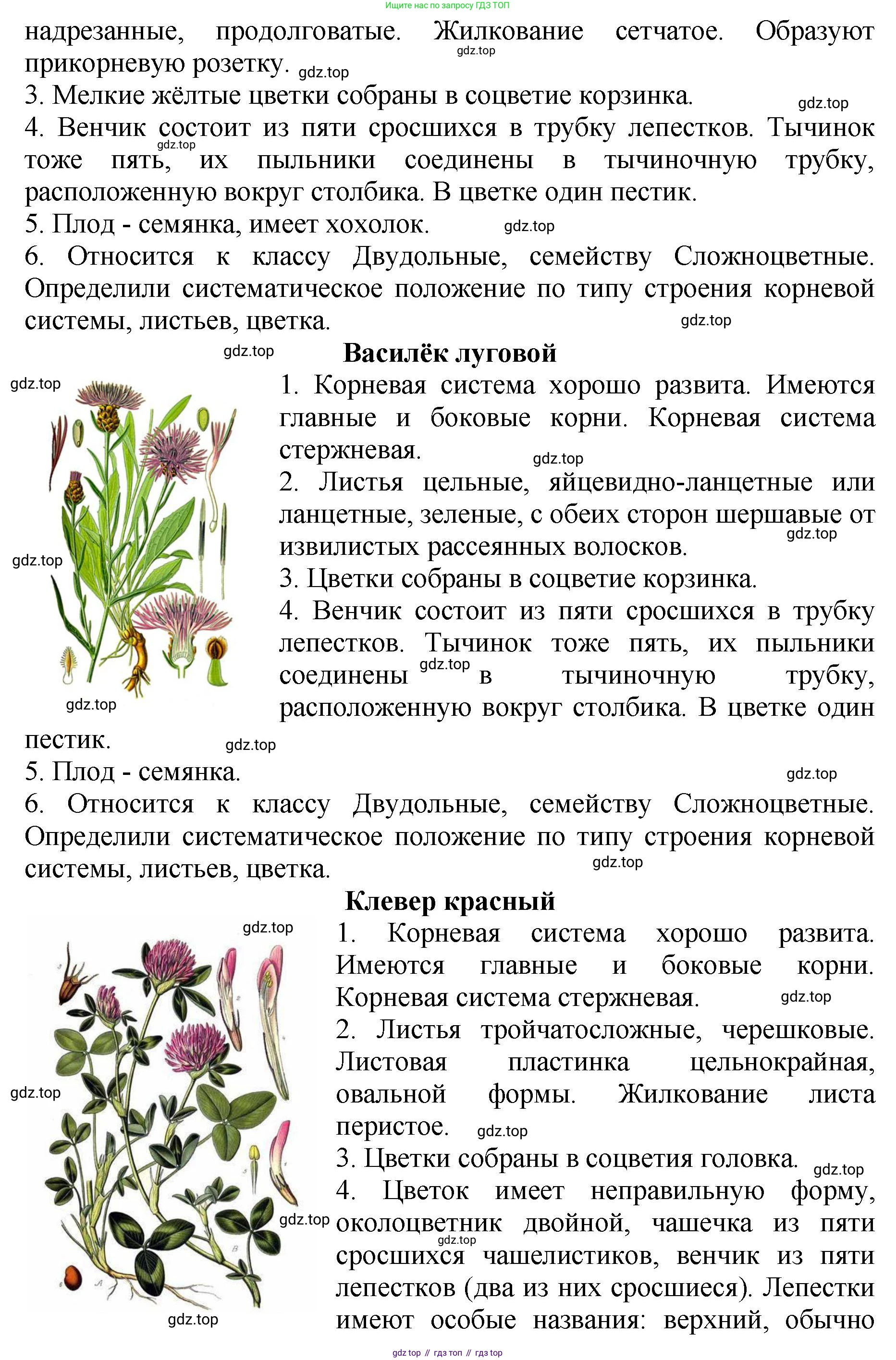 Биология, 7 класс Учебник, авторы: Пасечник Владимир Васильевич, Суматохин Сергей Витальевич, Гапонюк Зоя Георгиевна, Швецов Глеб Геннадьевич, издательство Просвещение, Москва, 2023, бирюзового цвета, страница 72, Решение 2 (продолжение 6)
