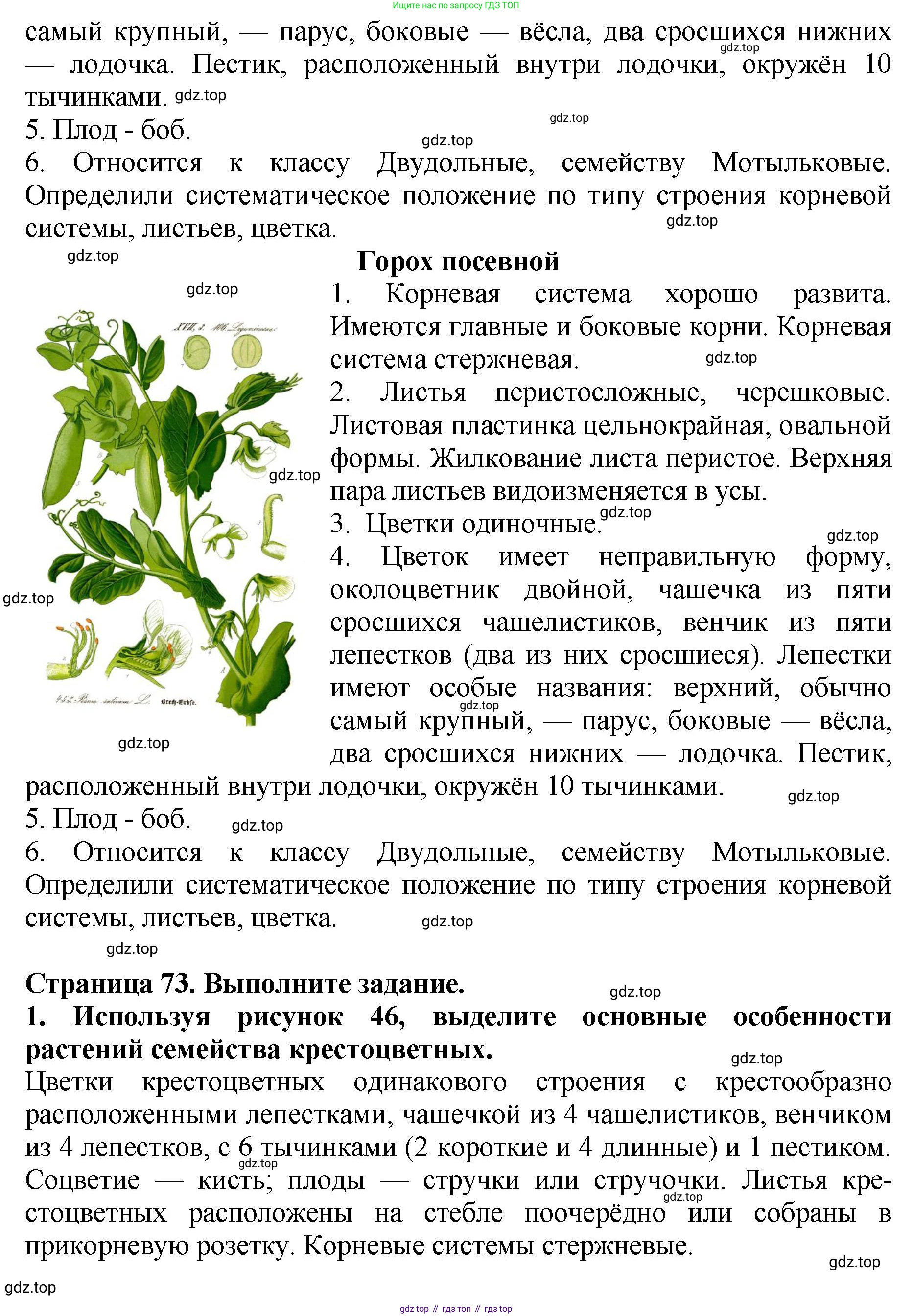 Биология, 7 класс Учебник, авторы: Пасечник Владимир Васильевич, Суматохин Сергей Витальевич, Гапонюк Зоя Георгиевна, Швецов Глеб Геннадьевич, издательство Просвещение, Москва, 2023, бирюзового цвета, страница 72, Решение 2 (продолжение 7)
