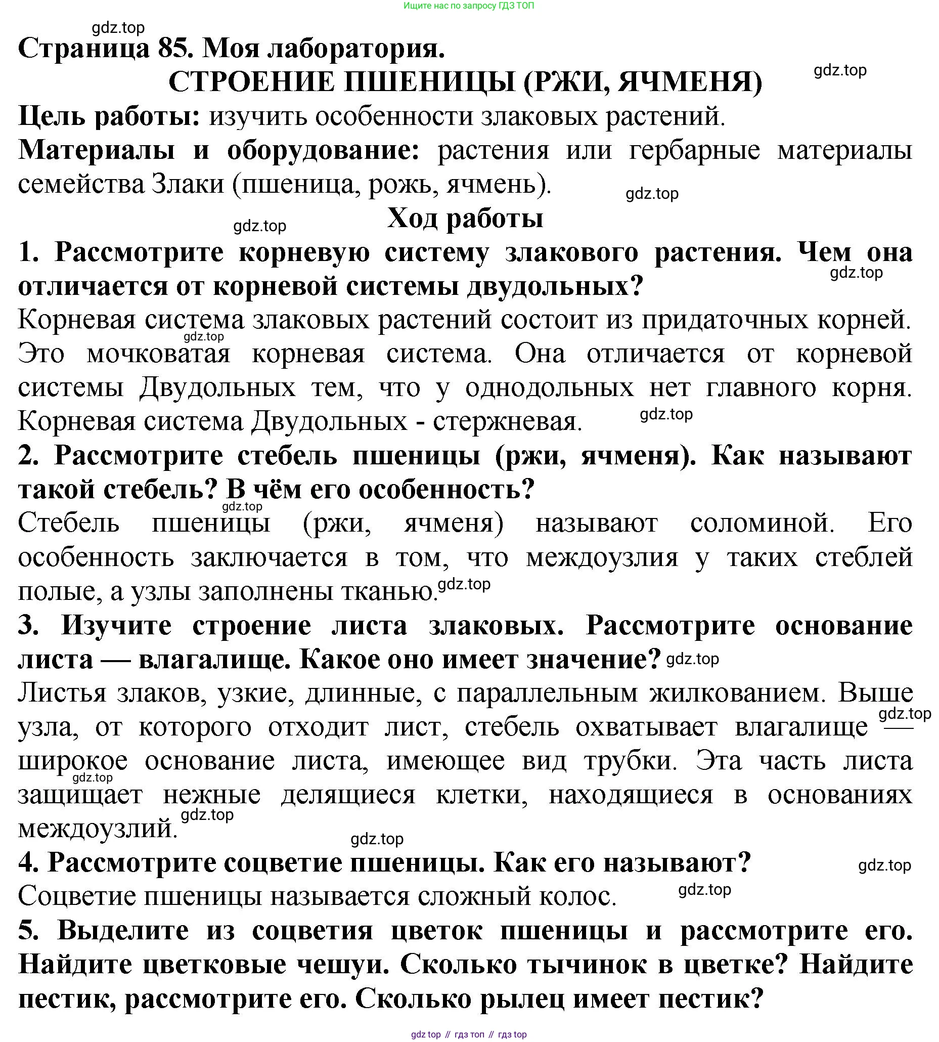 Биология, 7 класс Учебник, авторы: Пасечник Владимир Васильевич, Суматохин Сергей Витальевич, Гапонюк Зоя Георгиевна, Швецов Глеб Геннадьевич, издательство Просвещение, Москва, 2023, бирюзового цвета, страница 85, Решение 2