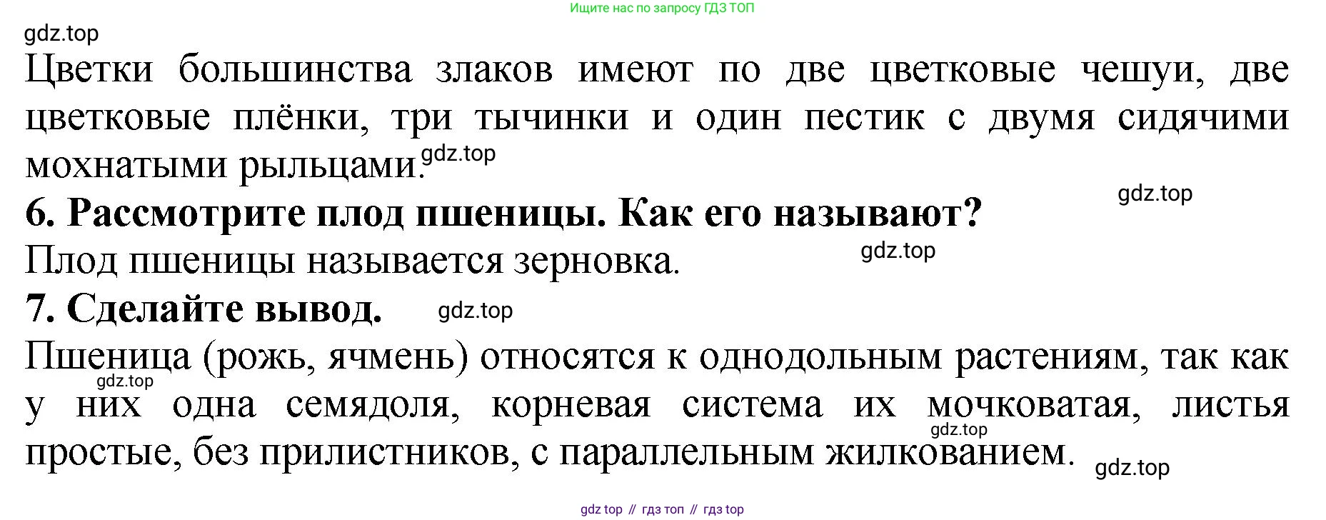 Биология, 7 класс Учебник, авторы: Пасечник Владимир Васильевич, Суматохин Сергей Витальевич, Гапонюк Зоя Георгиевна, Швецов Глеб Геннадьевич, издательство Просвещение, Москва, 2023, бирюзового цвета, страница 85, Решение 2 (продолжение 2)