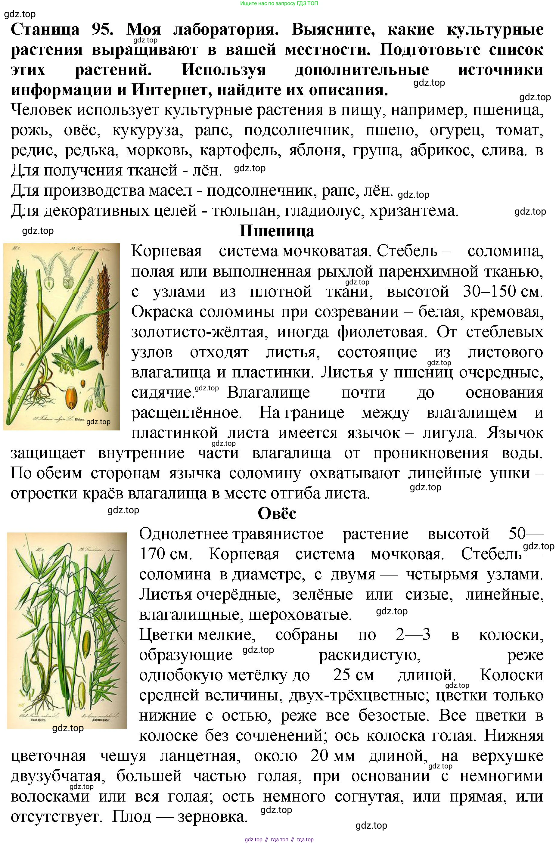 Биология, 7 класс Учебник, авторы: Пасечник Владимир Васильевич, Суматохин Сергей Витальевич, Гапонюк Зоя Георгиевна, Швецов Глеб Геннадьевич, издательство Просвещение, Москва, 2023, бирюзового цвета, страница 95, Решение 2
