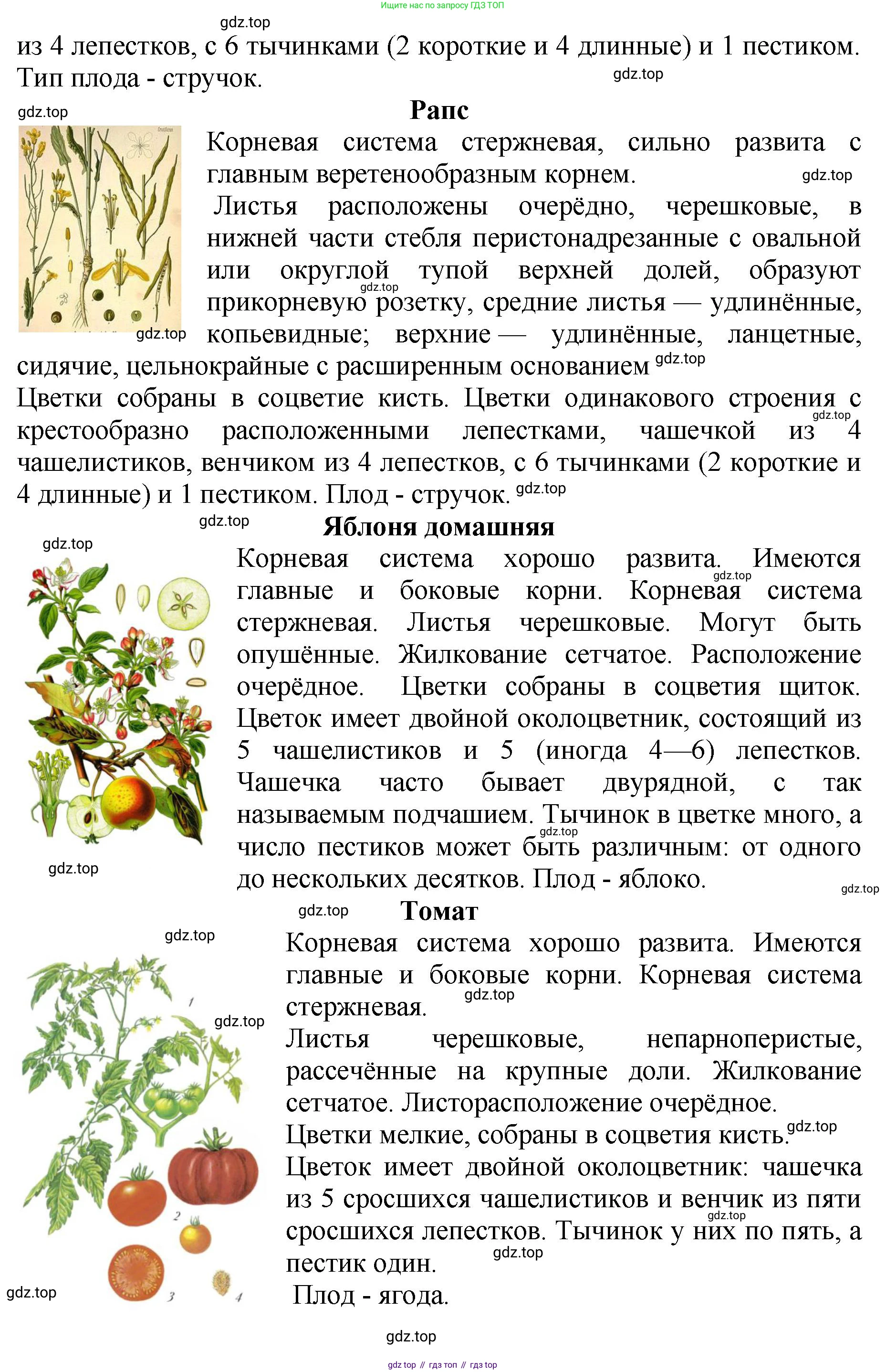 Биология, 7 класс Учебник, авторы: Пасечник Владимир Васильевич, Суматохин Сергей Витальевич, Гапонюк Зоя Георгиевна, Швецов Глеб Геннадьевич, издательство Просвещение, Москва, 2023, бирюзового цвета, страница 95, Решение 2 (продолжение 3)