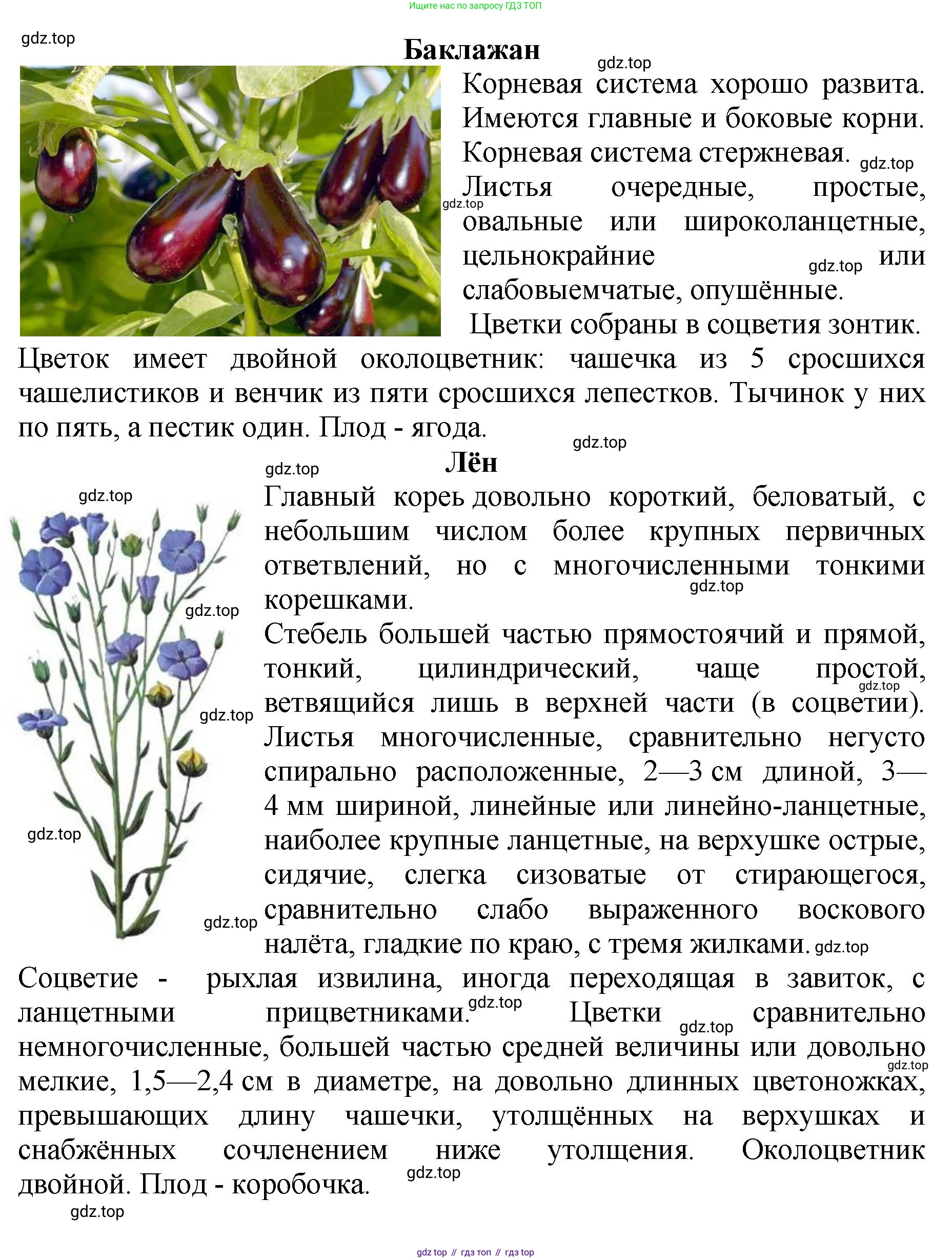 Биология, 7 класс Учебник, авторы: Пасечник Владимир Васильевич, Суматохин Сергей Витальевич, Гапонюк Зоя Георгиевна, Швецов Глеб Геннадьевич, издательство Просвещение, Москва, 2023, бирюзового цвета, страница 95, Решение 2 (продолжение 4)