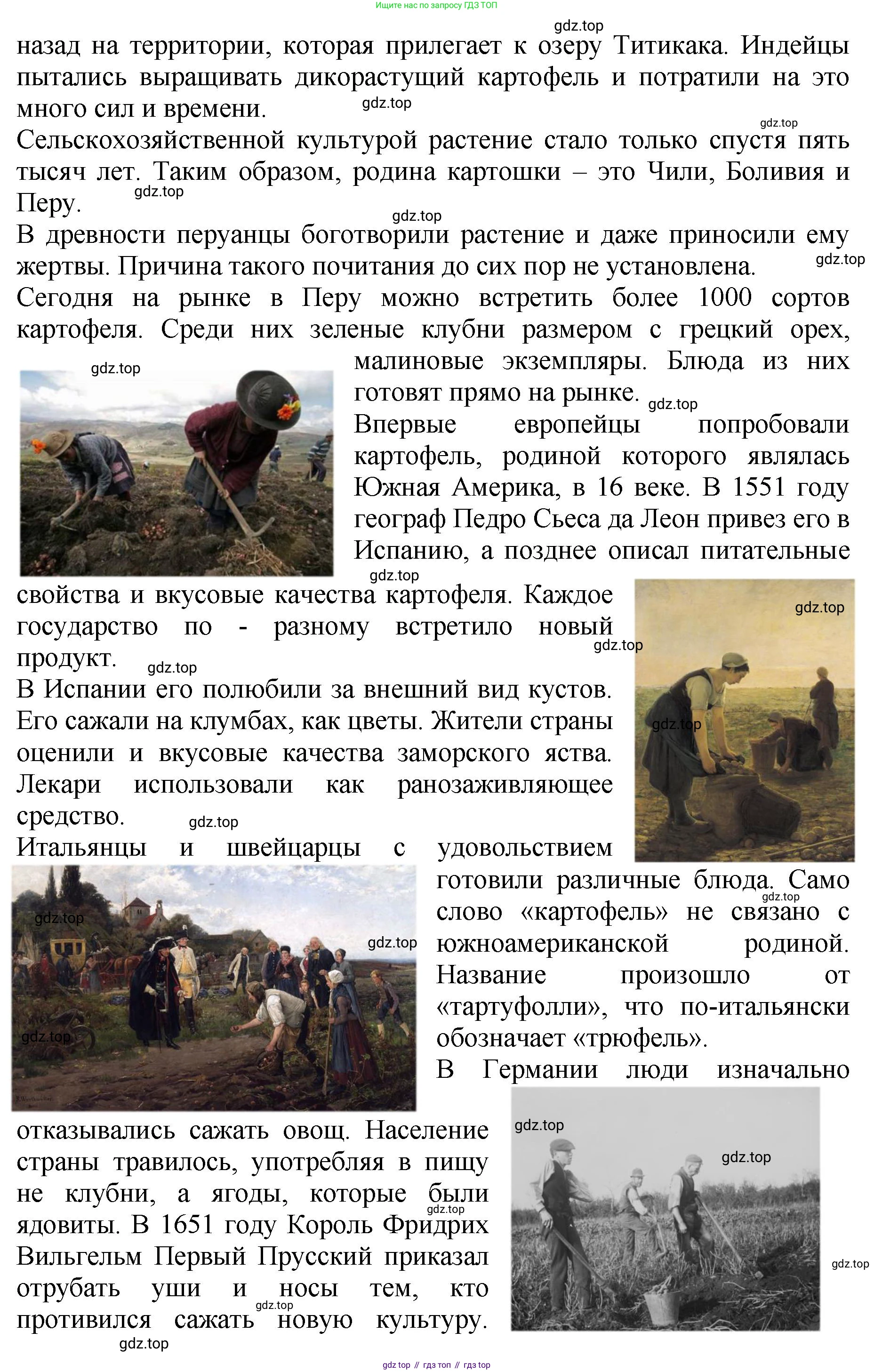 Биология, 7 класс Учебник, авторы: Пасечник Владимир Васильевич, Суматохин Сергей Витальевич, Гапонюк Зоя Георгиевна, Швецов Глеб Геннадьевич, издательство Просвещение, Москва, 2023, бирюзового цвета, страница 95, Решение 2 (продолжение 7)