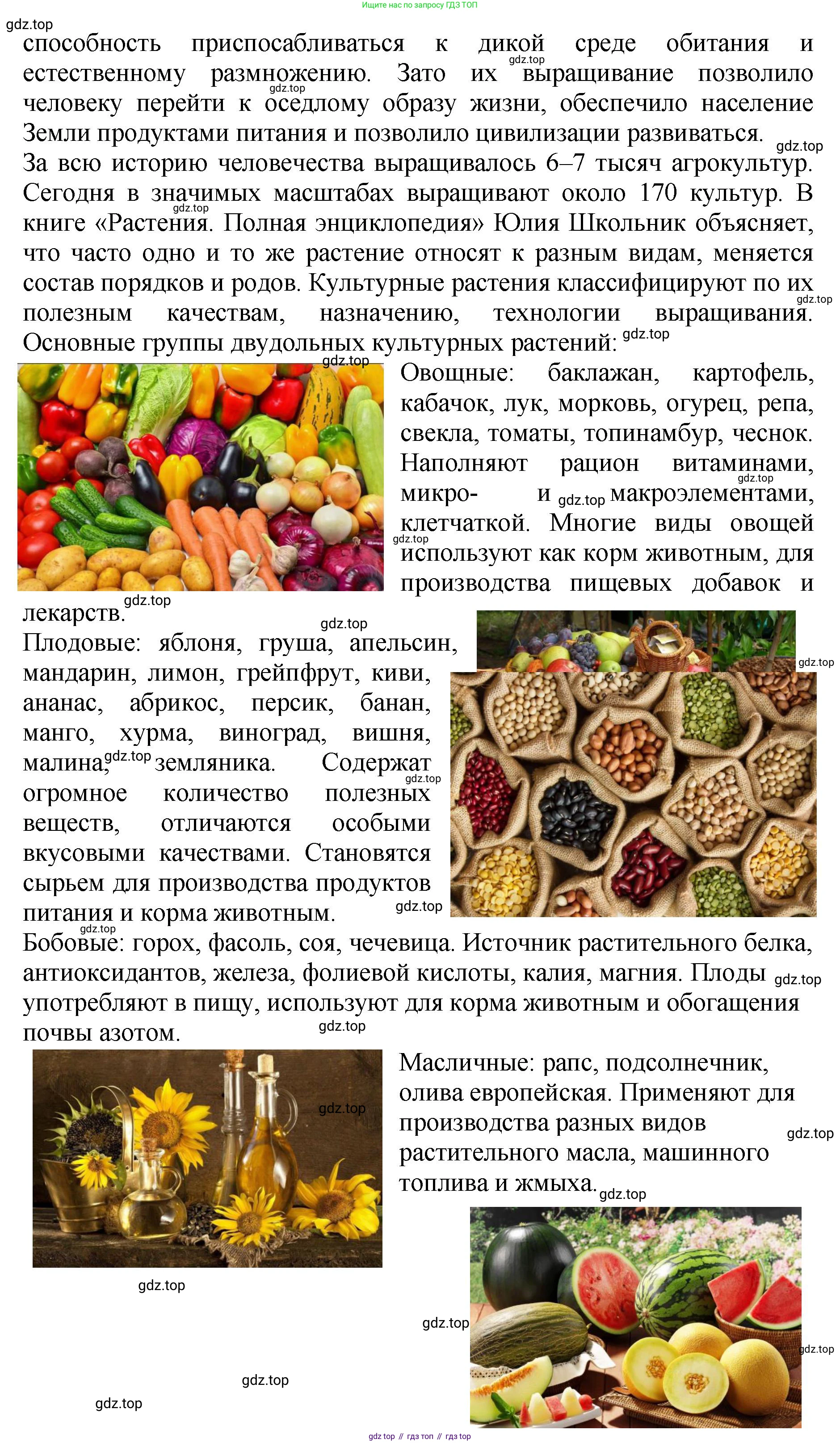 Биология, 7 класс Учебник, авторы: Пасечник Владимир Васильевич, Суматохин Сергей Витальевич, Гапонюк Зоя Георгиевна, Швецов Глеб Геннадьевич, издательство Просвещение, Москва, 2023, бирюзового цвета, страница 96, номер 2, Решение 2 (продолжение 3)